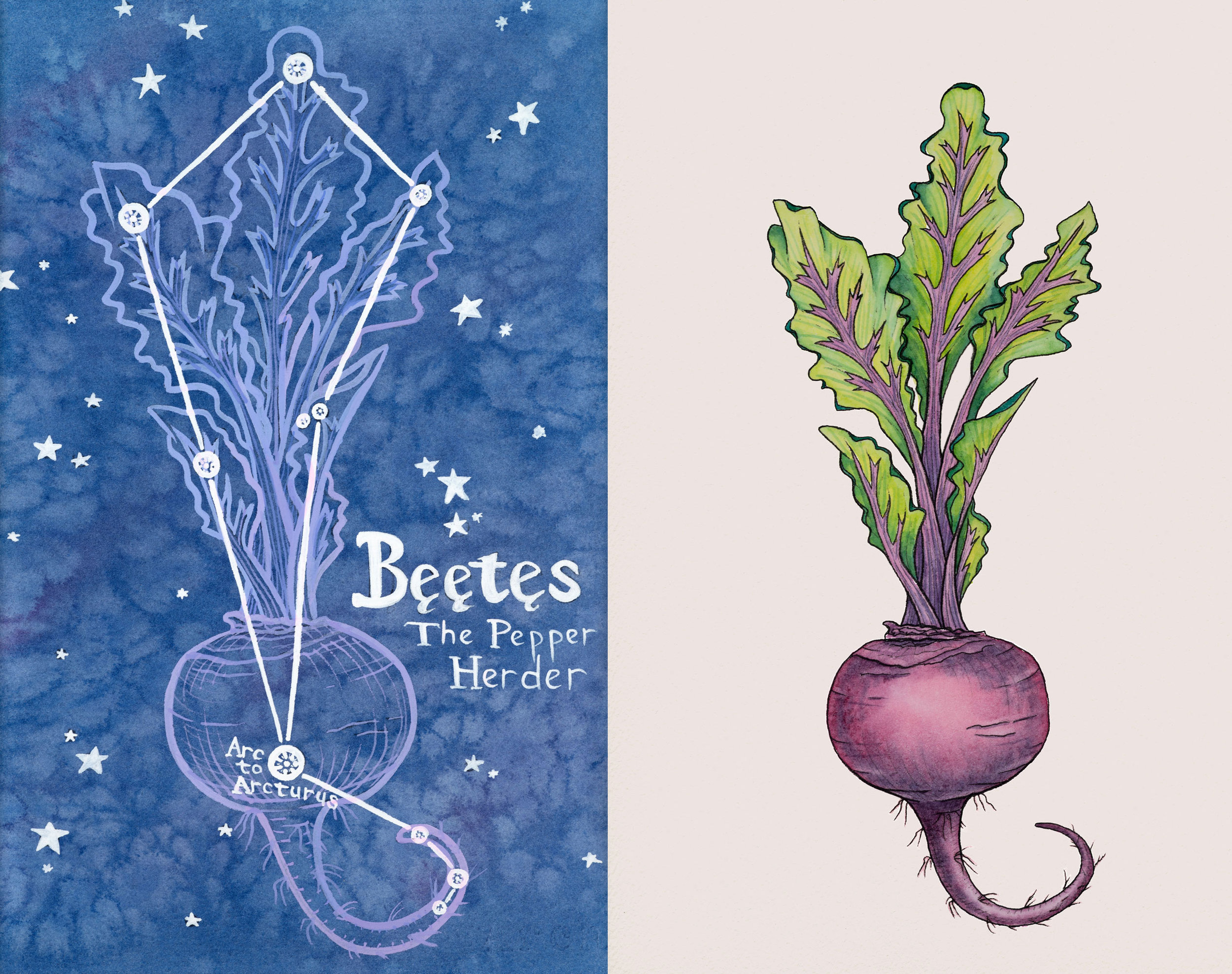 Beet By Day and Night Set