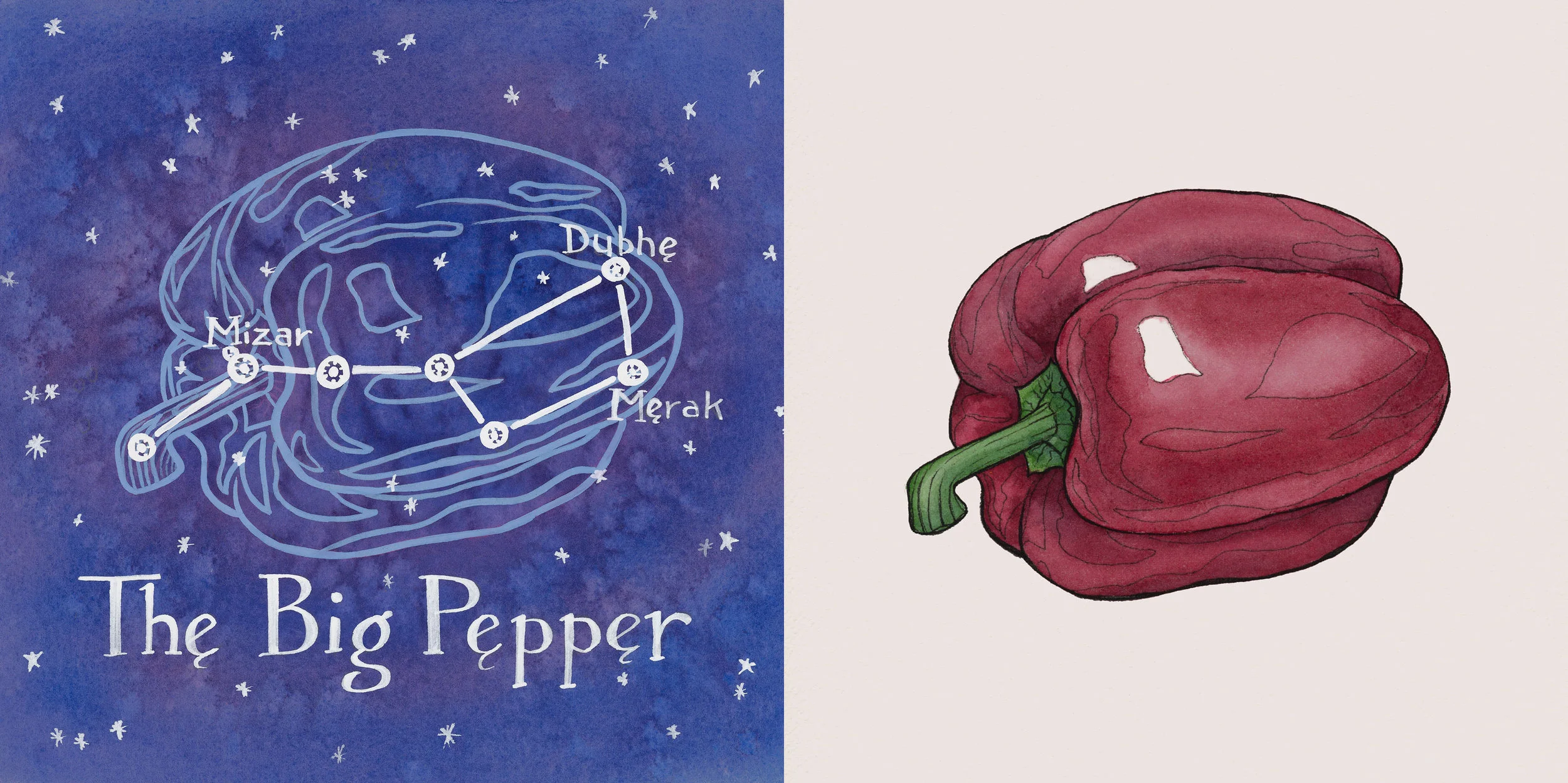 Bell Pepper by Day and Night Set