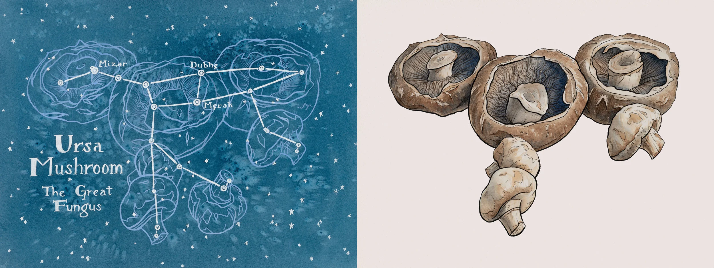 Mushroom by Day and Night, 2 sizes