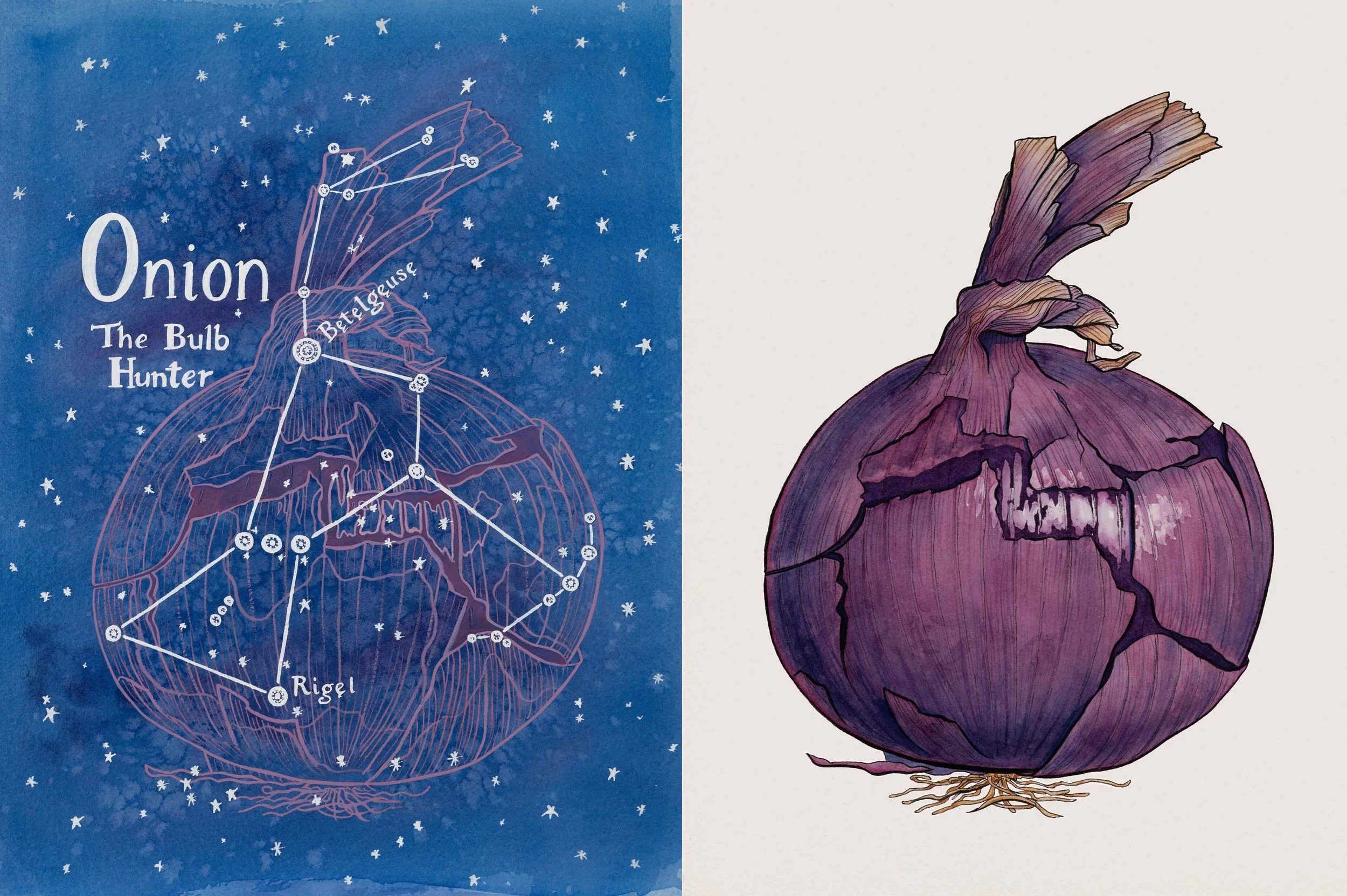 Onion by Day and Night Set, 2 Sizes