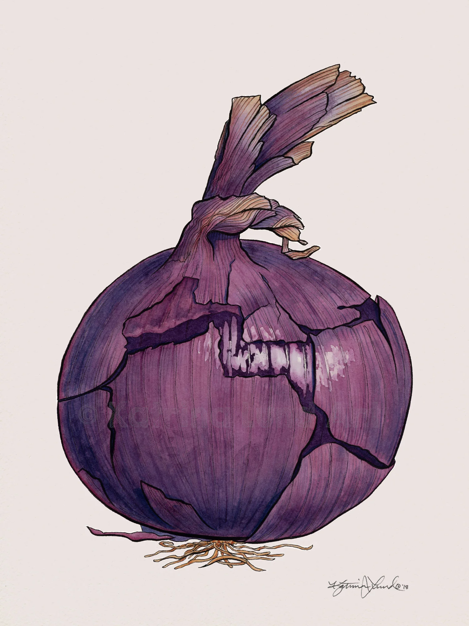 Onion by Day