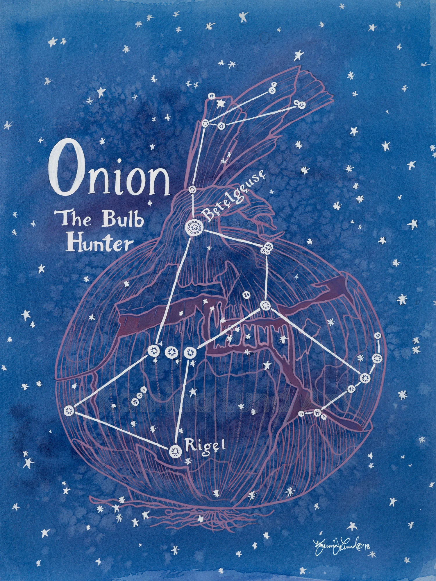 Onion by Night