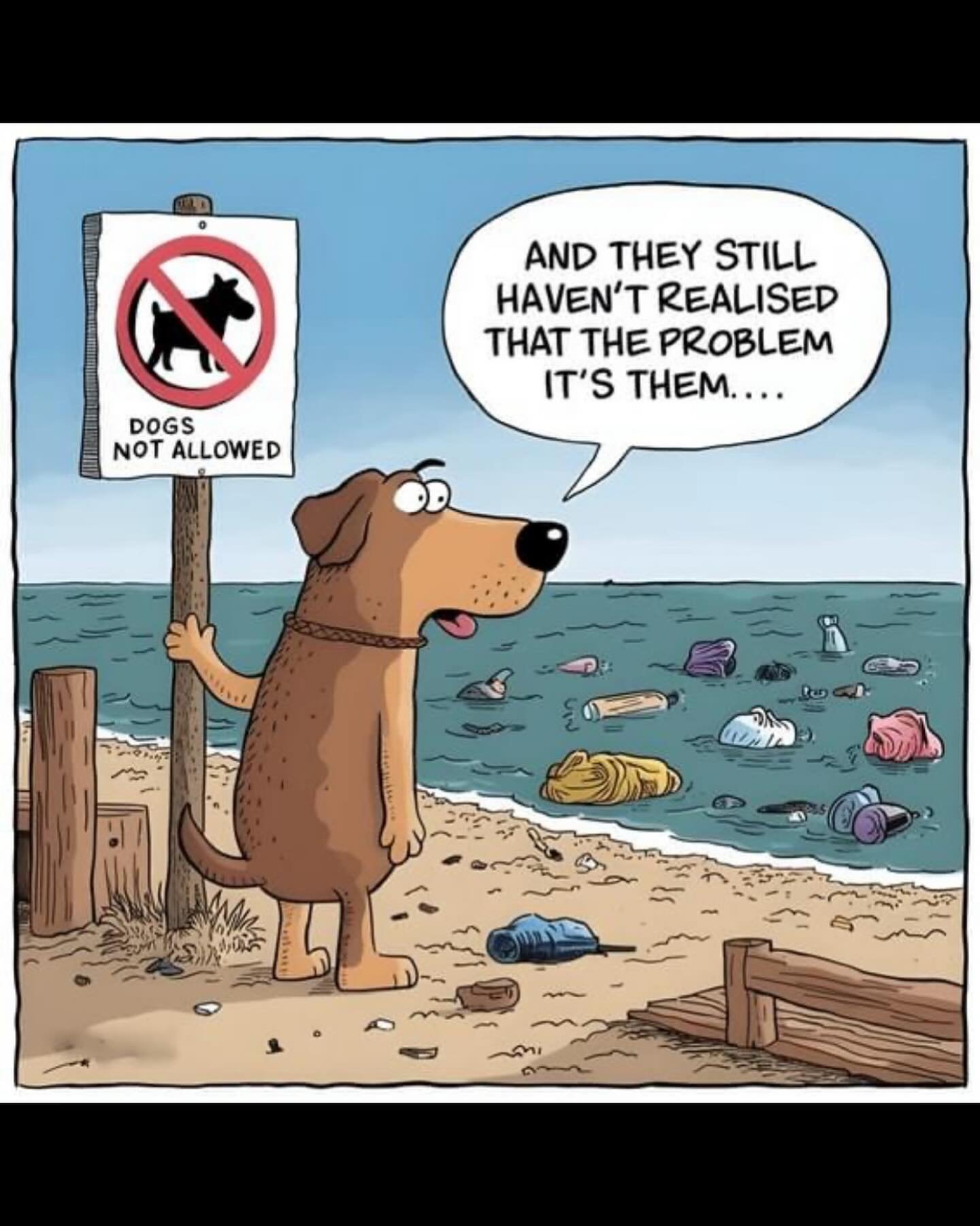 #PackItAndPackItOut. Make sure to pick up after your dog so dogs can always be able to go to the beach🐶💩