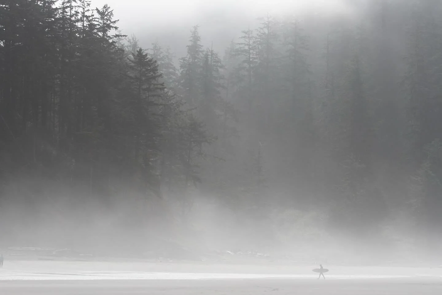 Have a great week everyone! 

This picture was taken on a foggy day at shorties and in many ways symbolizes how surfing can be a form of utmost solitude. Surfing with friends is great! But the individual experience is always worth recognizing.