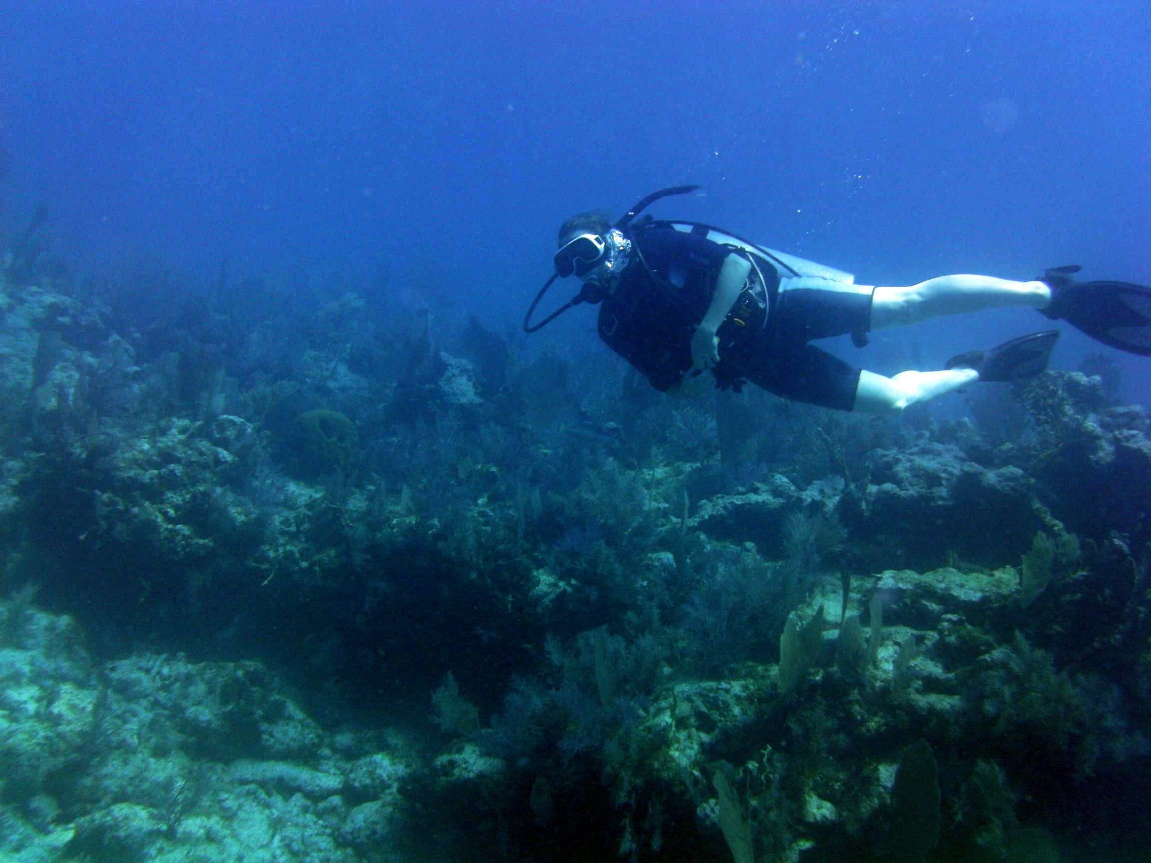 2012-04-13 Scuba diving with Captain Slate Key Largo
