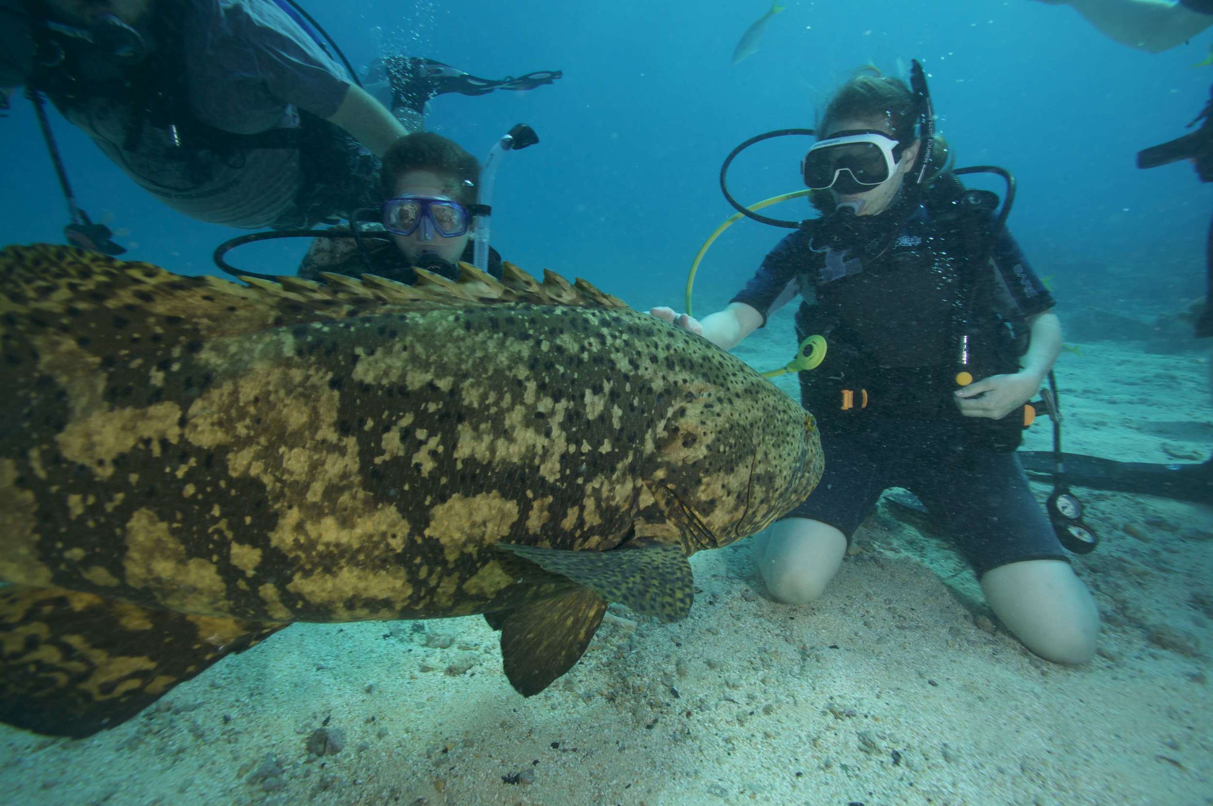 2012-04-13 Diving with Captain Slate (1)-4000