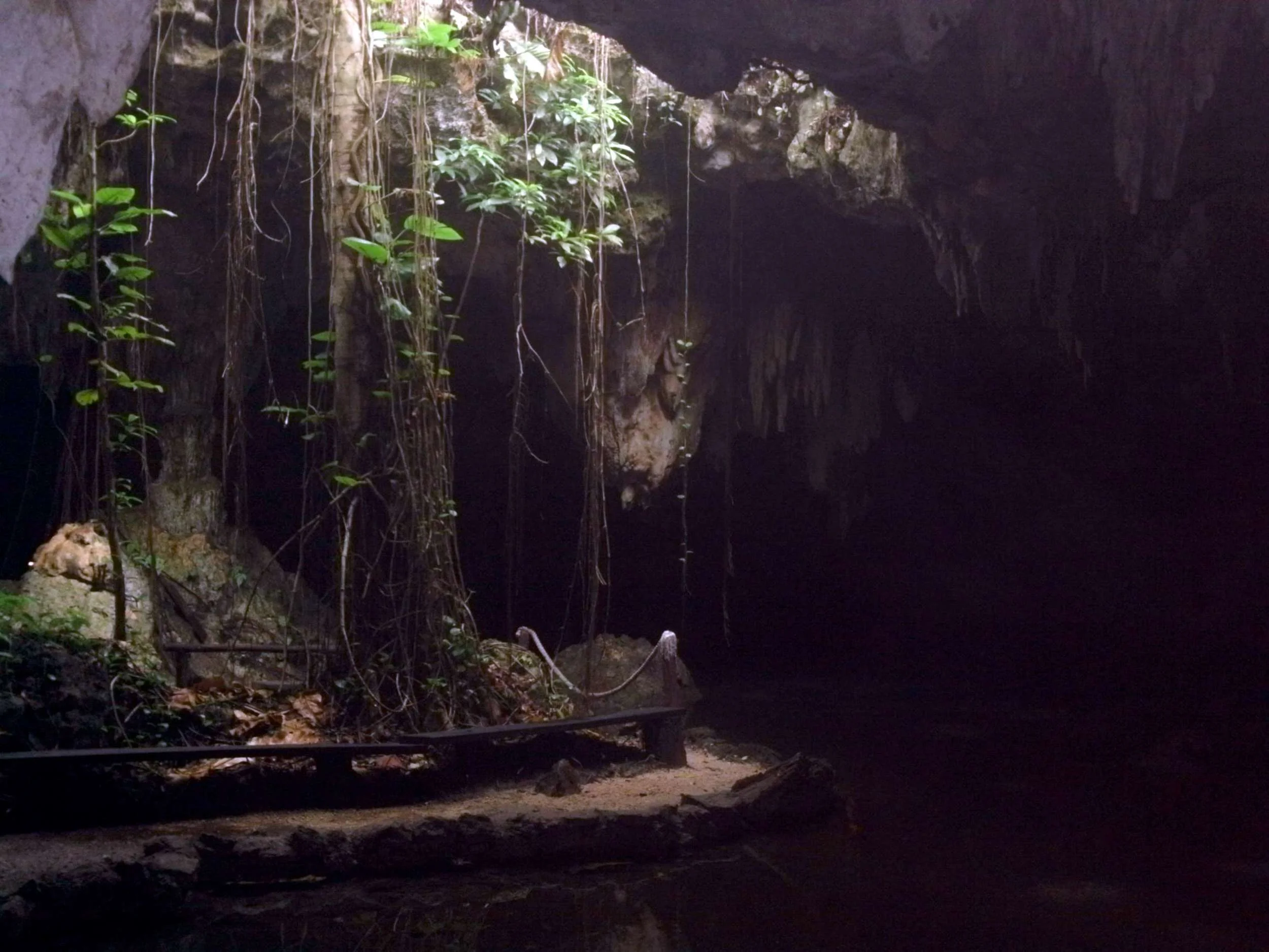 mainland off Cozumel, Chaak Tun cenote near Playa del Carmen