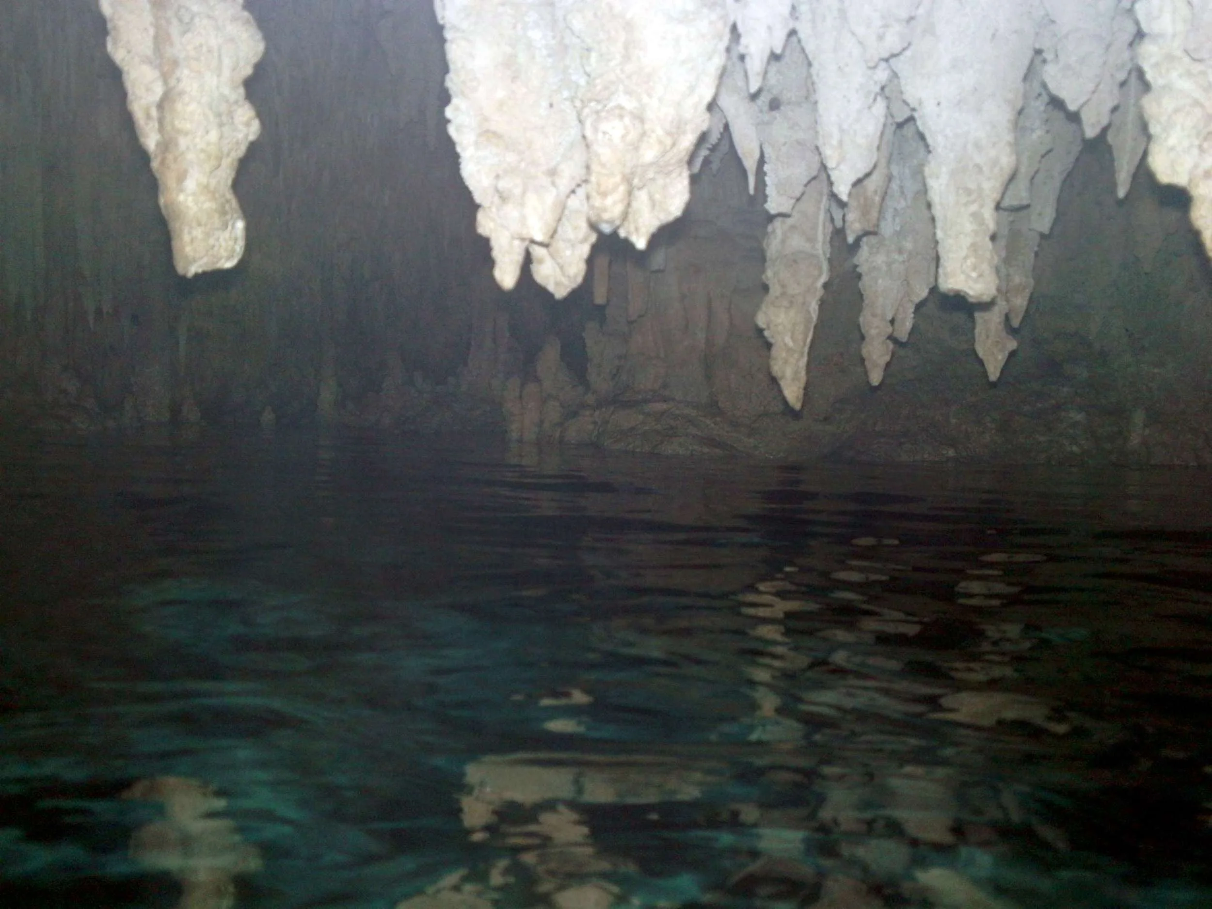 snorkeling in Chaak Tun cenote