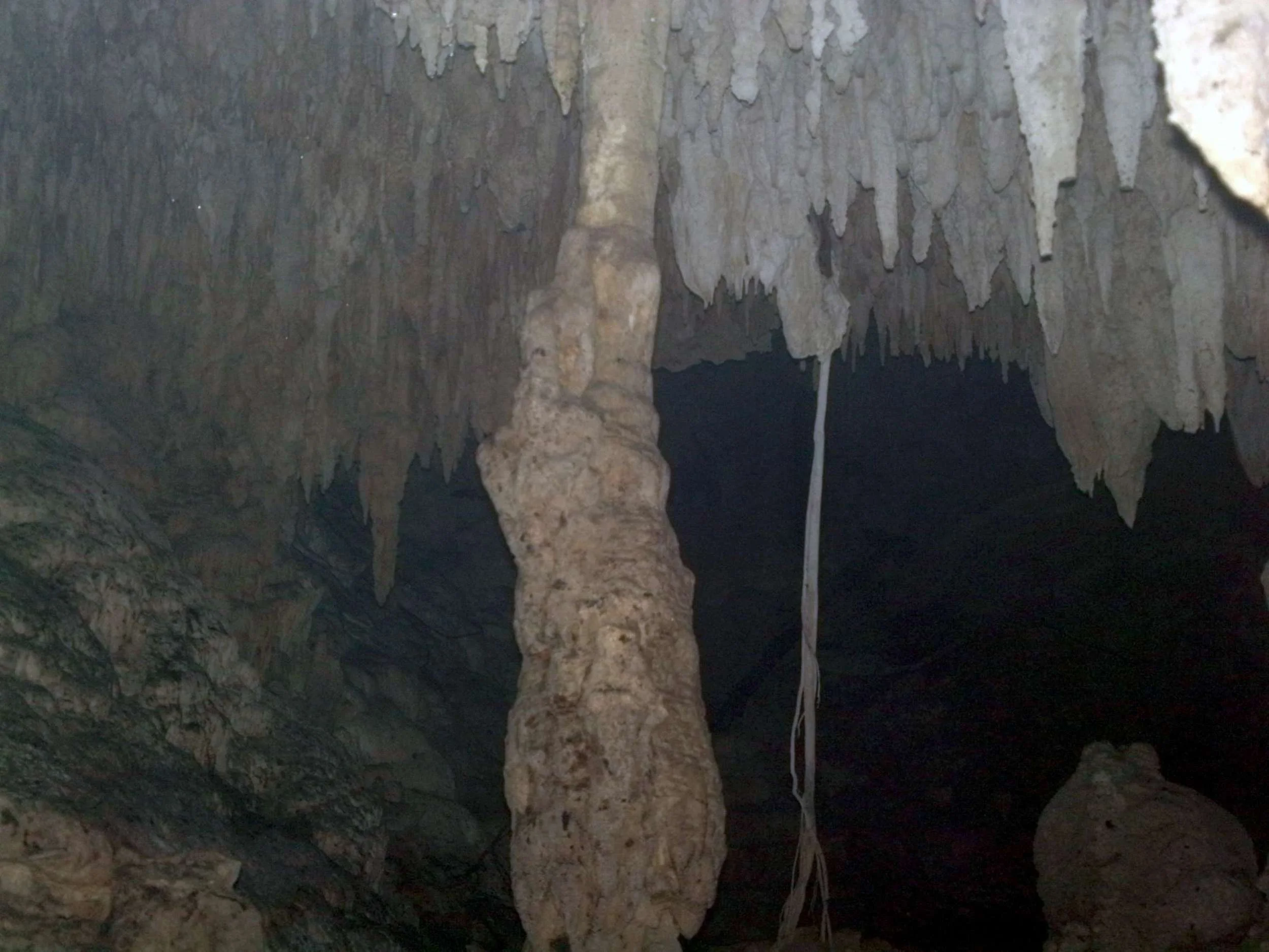 snorkeling in Chaak Tun cenote