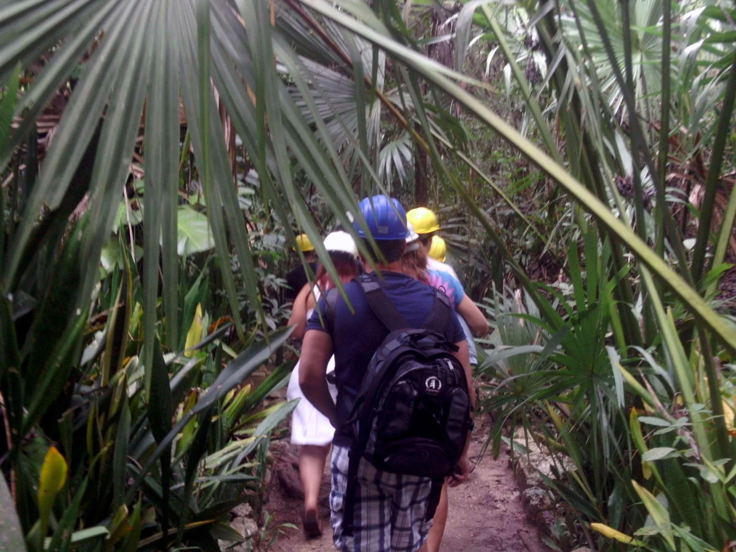 mainland off Cozumel, hiking through jungle to Chaak Tun cenote near Playa del Carmen