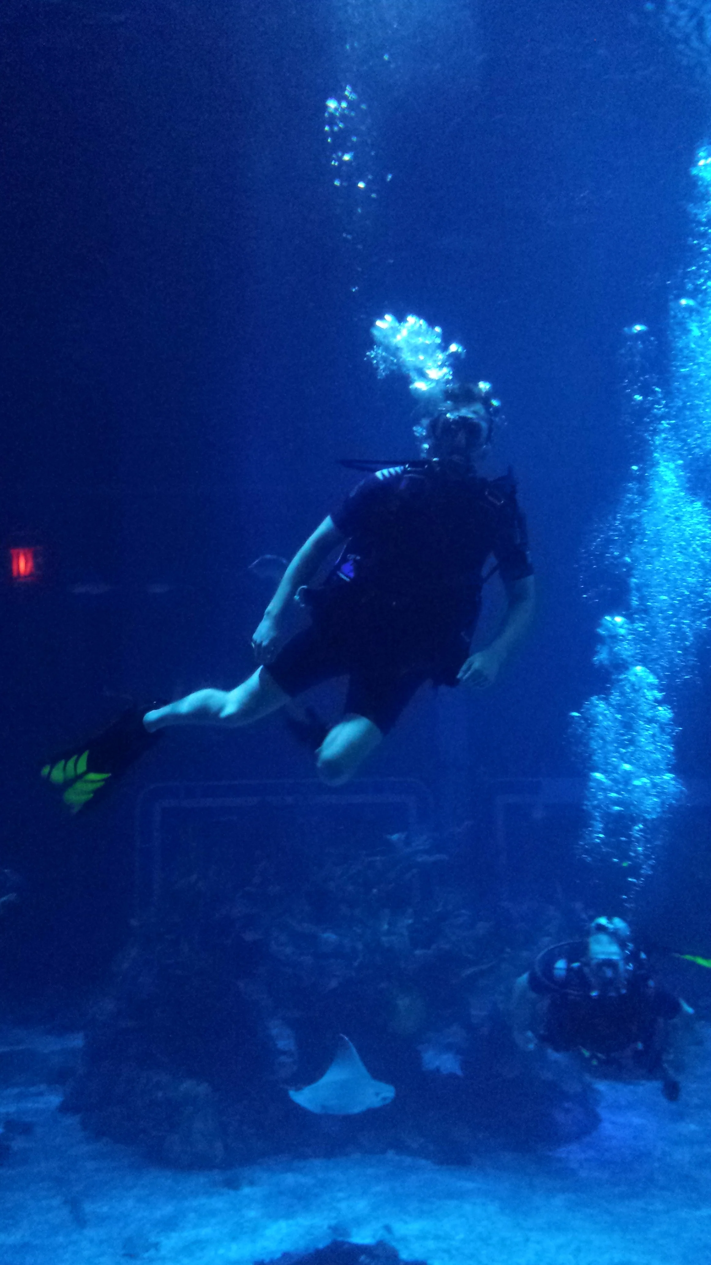 Disney World Epcot Center DiveQuest