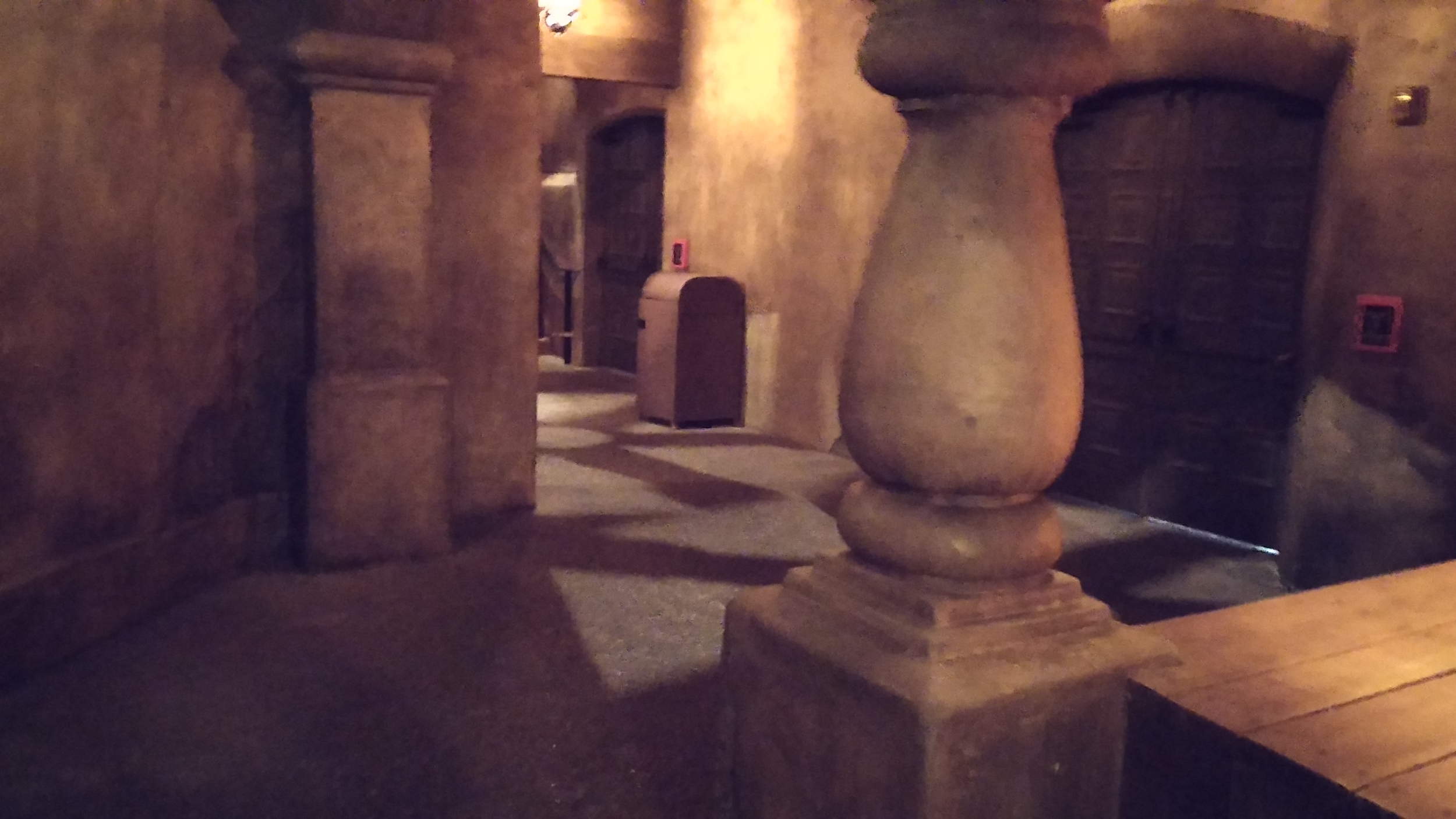 Pirates of the Caribbean -- our FastPass line
