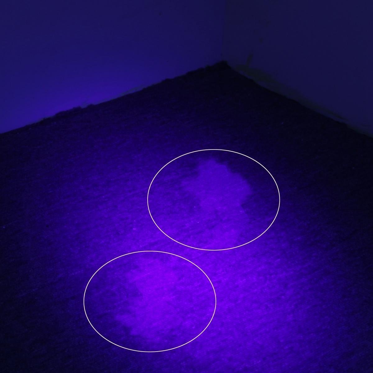 Esky UV Flashlight 4.jpg