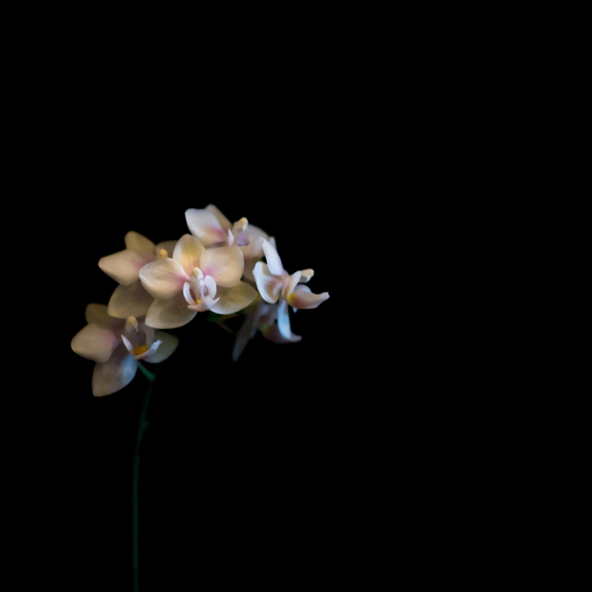 _W6A6400.jpg