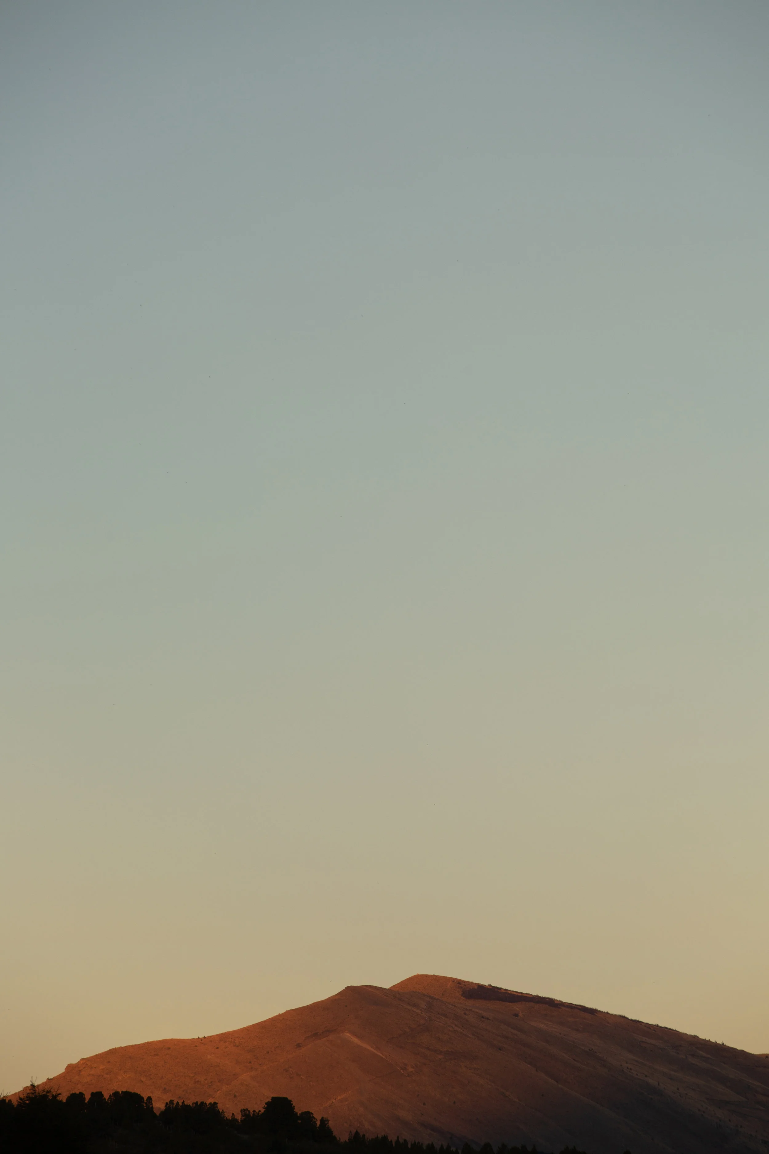 BARILOCHE, ARGENTIA // 2019