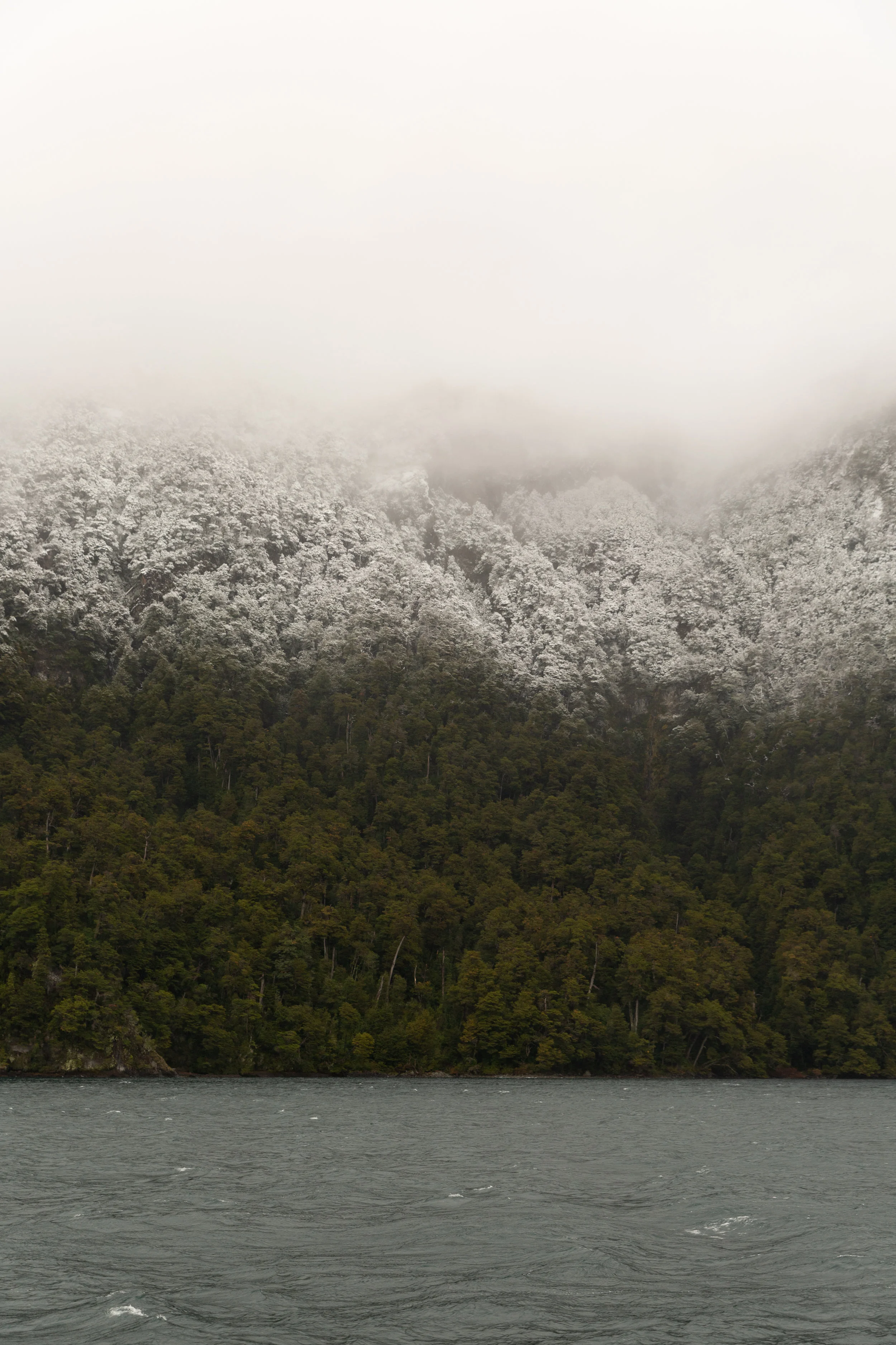 Nahuel Huapi Lake, Argentina // 2019