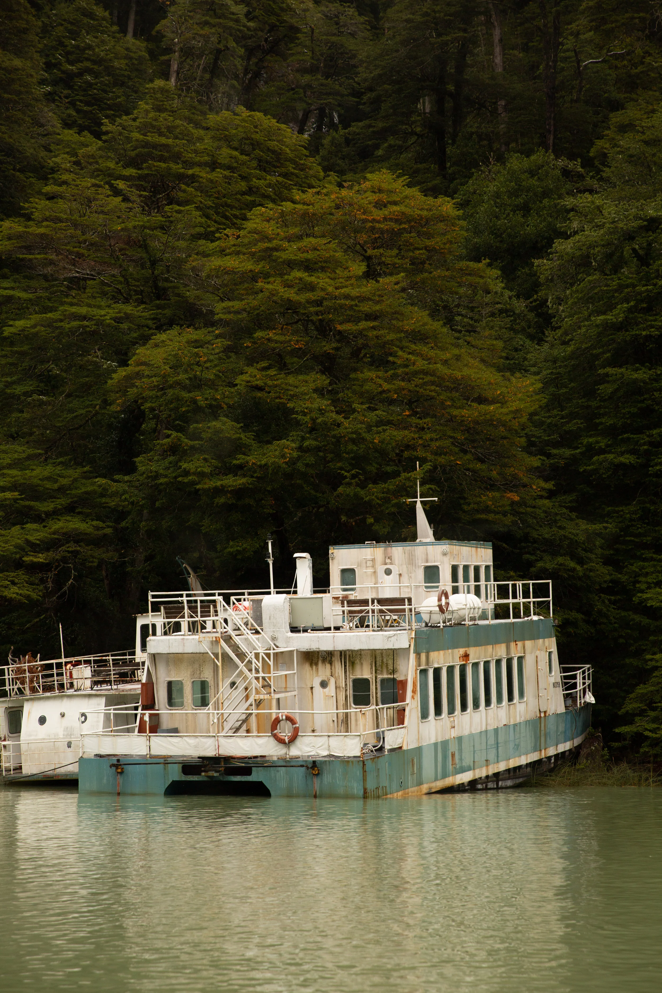 LAGO FRIA, ARGENTINA // 2019