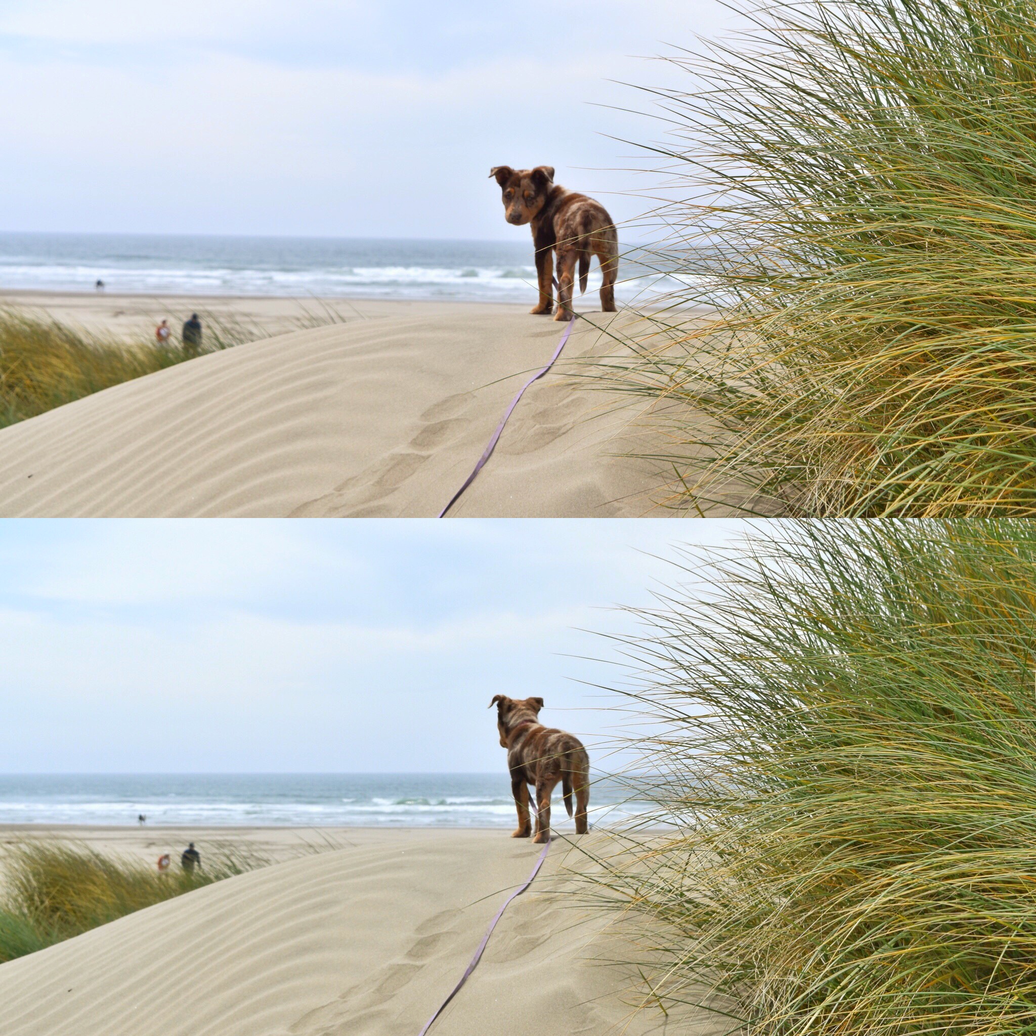 First time at the Oregon Coast. 