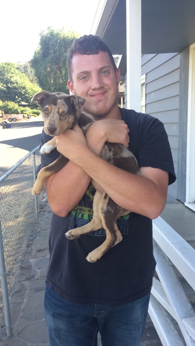 Your puppy needs to meet lots of new people! Here is Tesla and my brother Dylan. 
