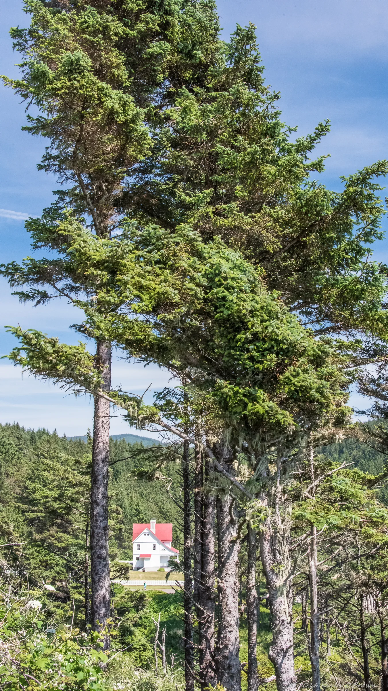 20160528-KDB_-13.jpg