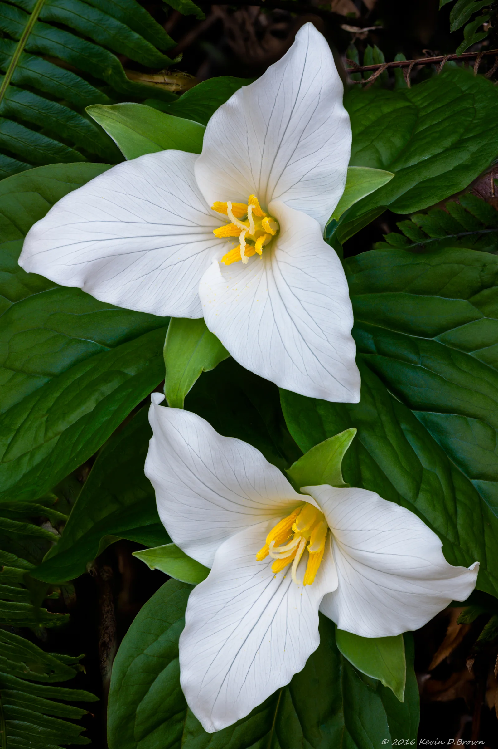 20130329-KDB_.jpg