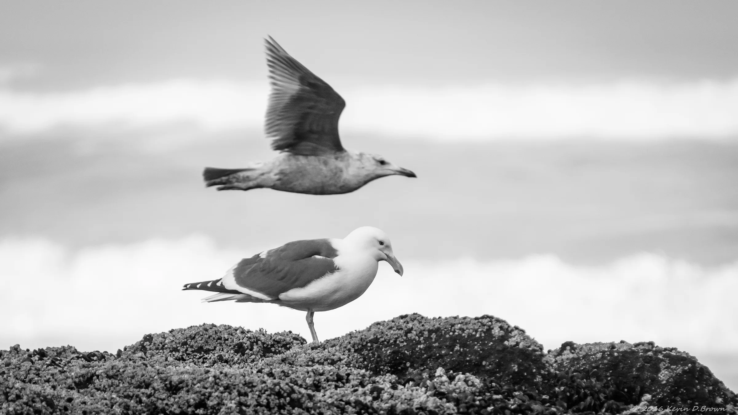 20150420-KDB_-3.jpg