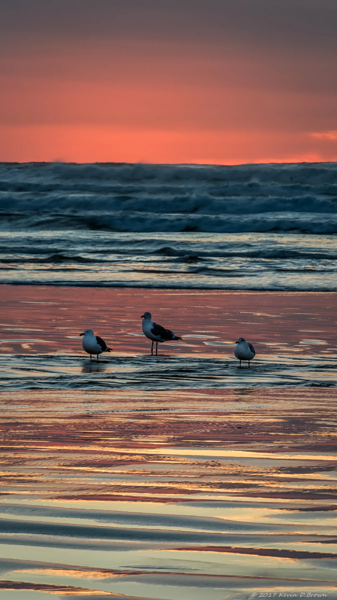Nye Beach