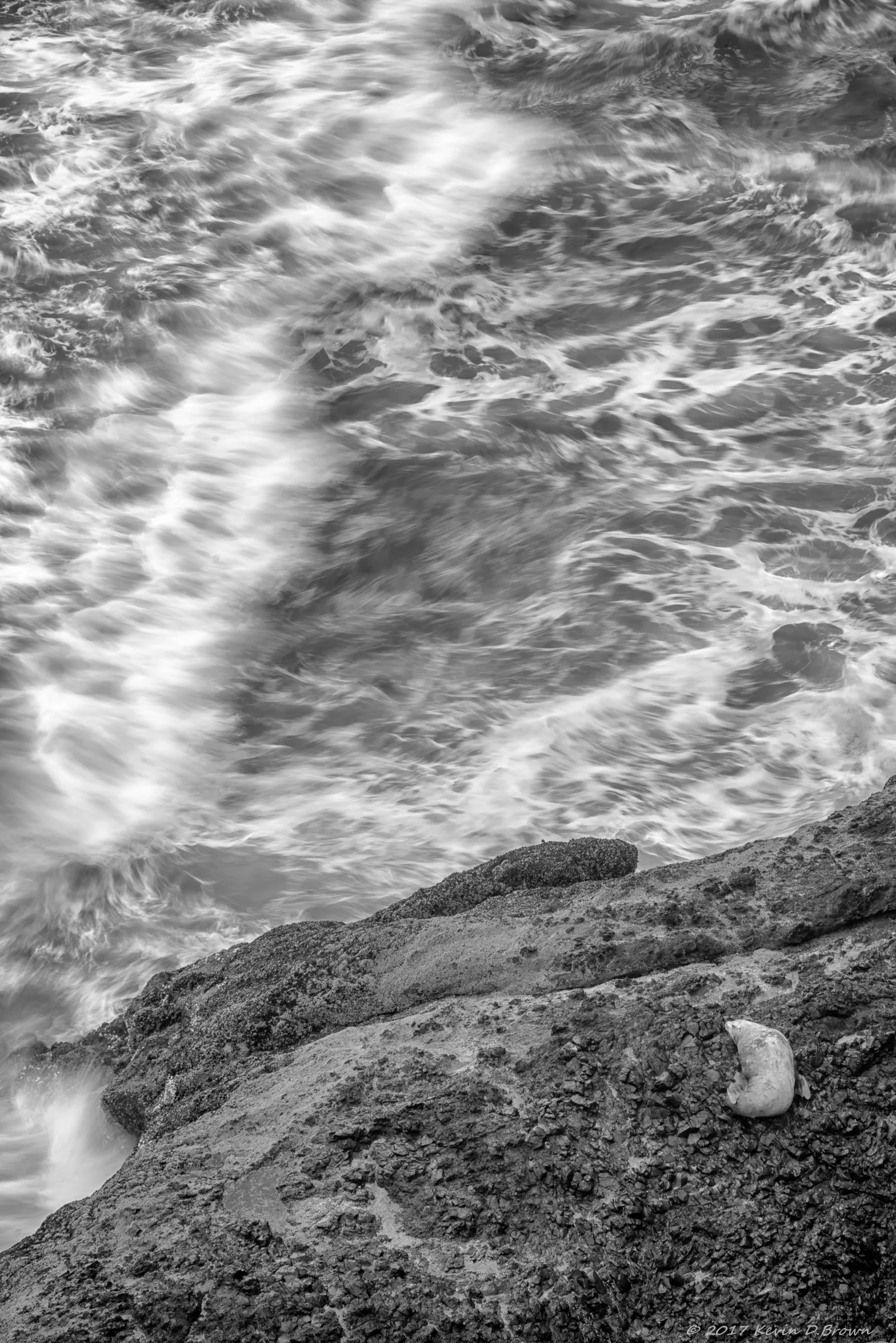 20170528_KDB6415-Edit-kdb.jpg