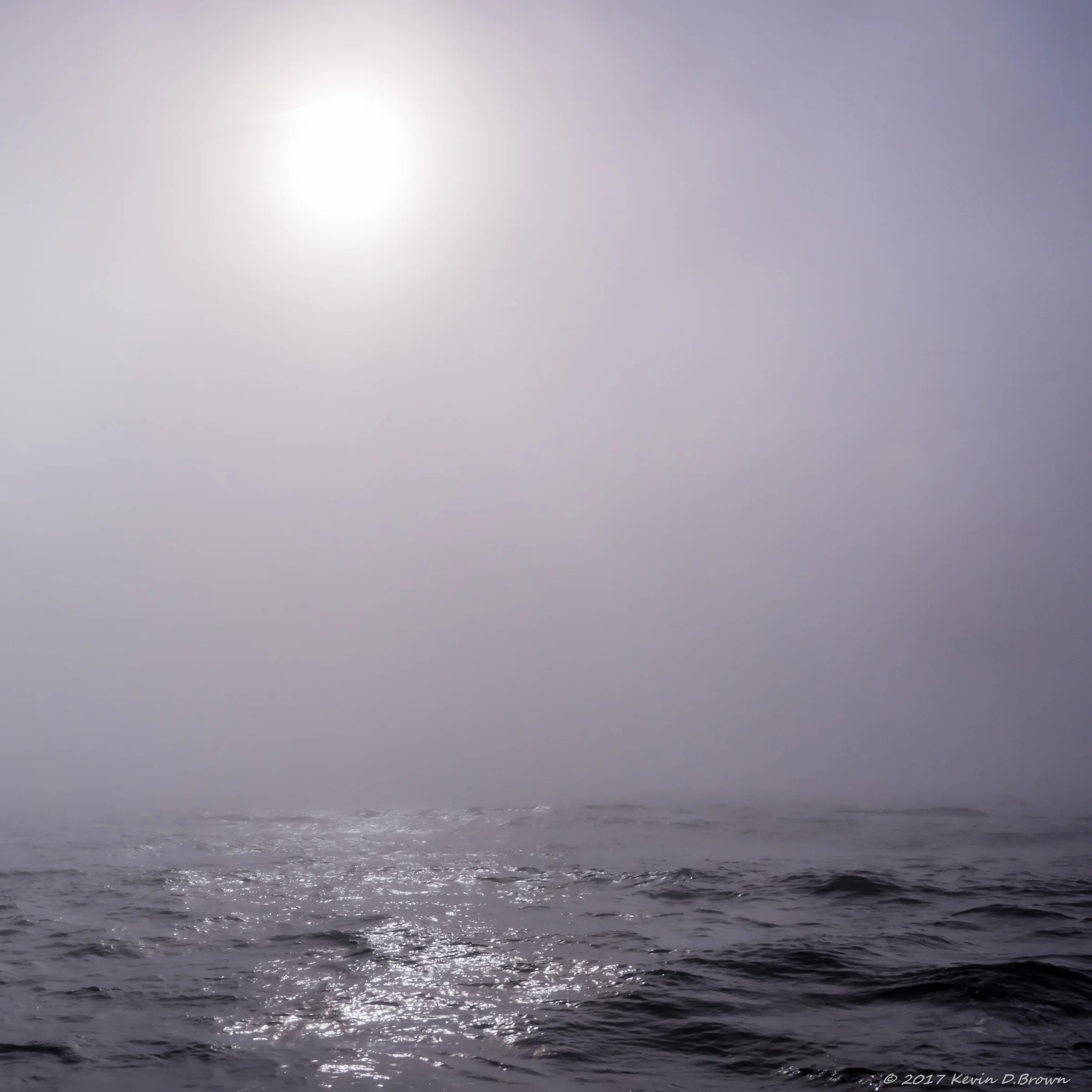 Eclipse Day in Depoe Bay