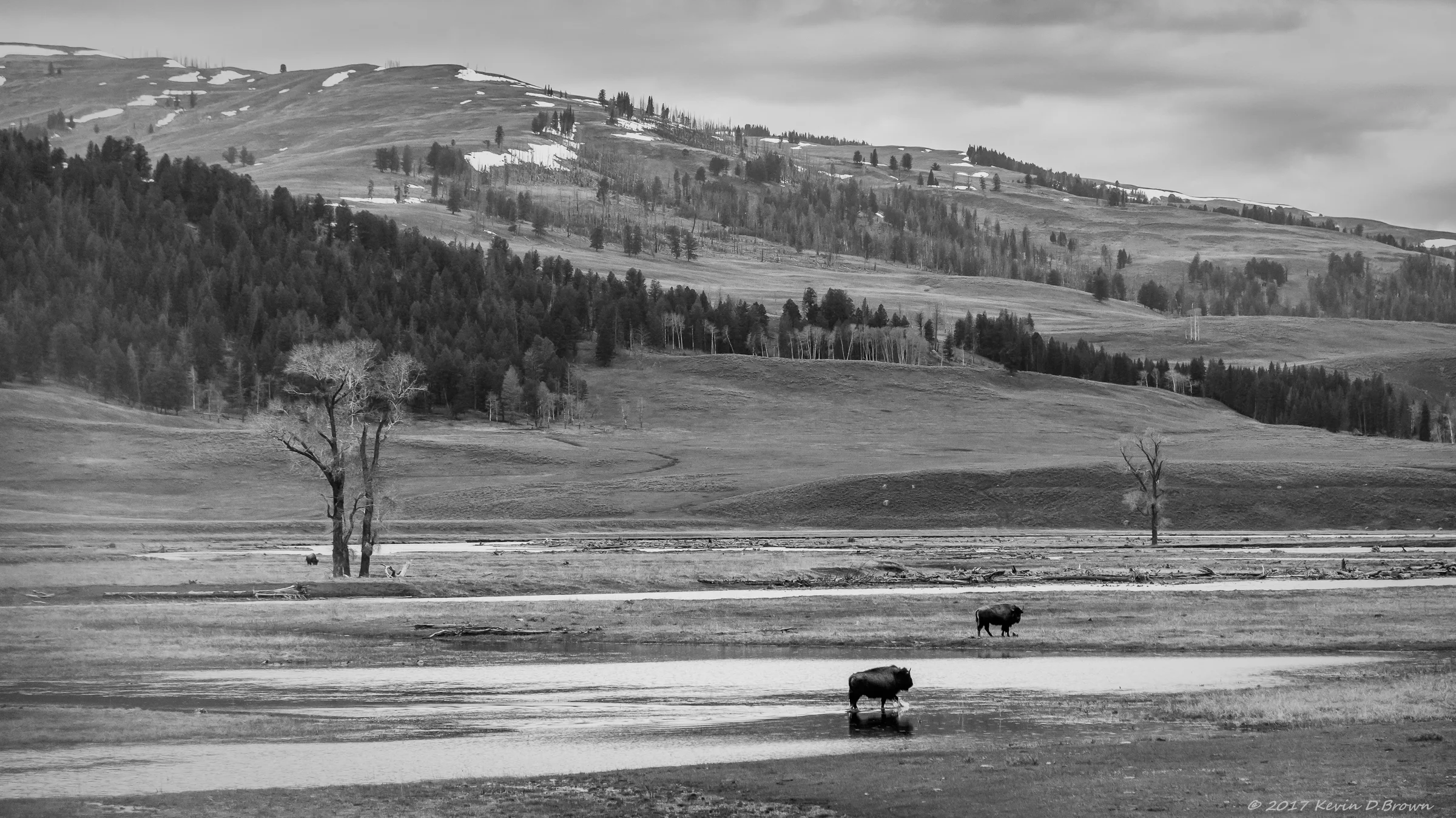 Yellowstone National Park