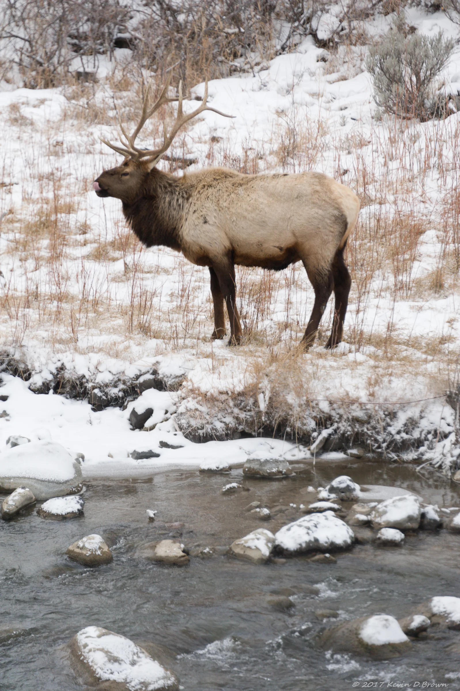 Yellowstone National Park
