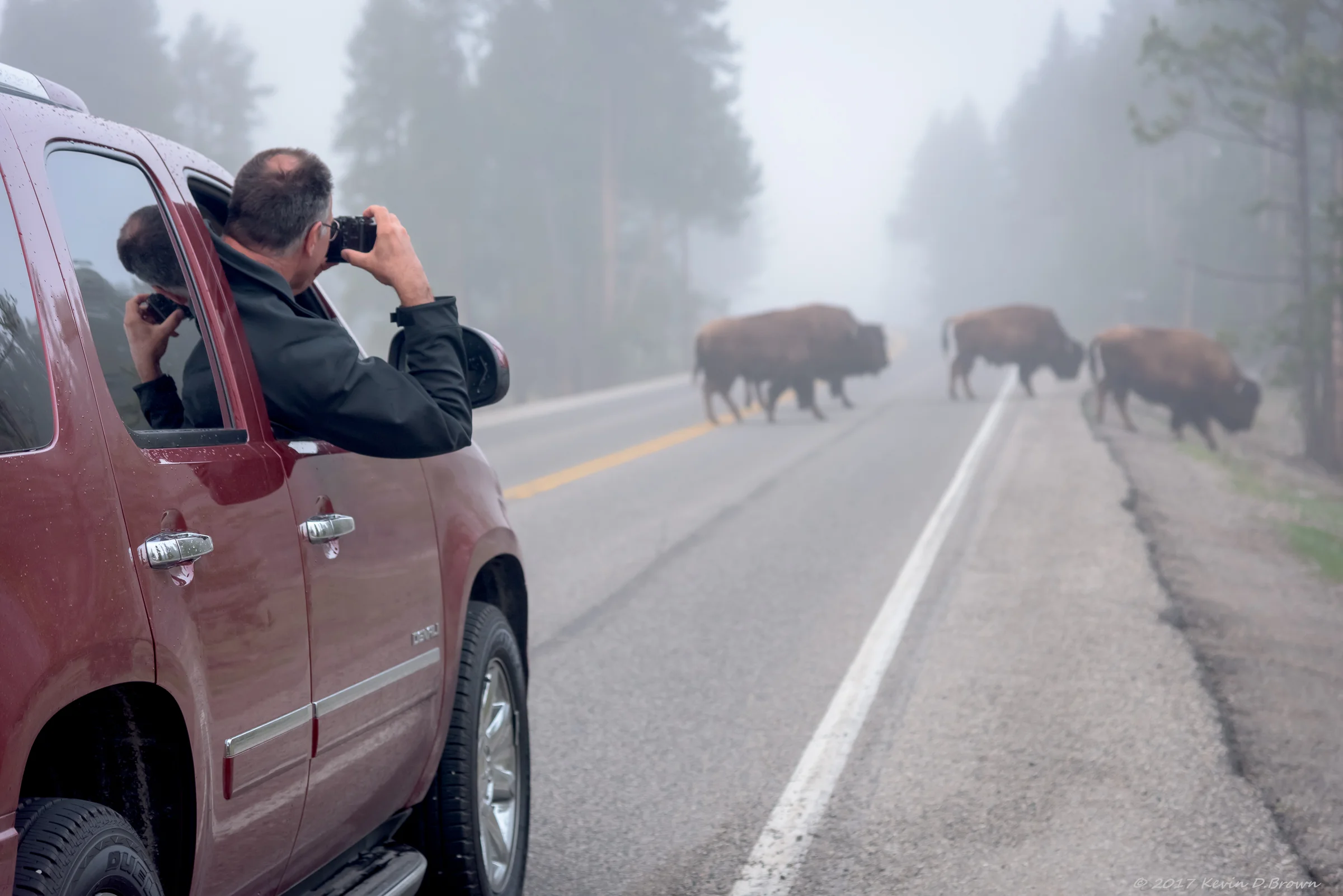 Yellowstone National Park