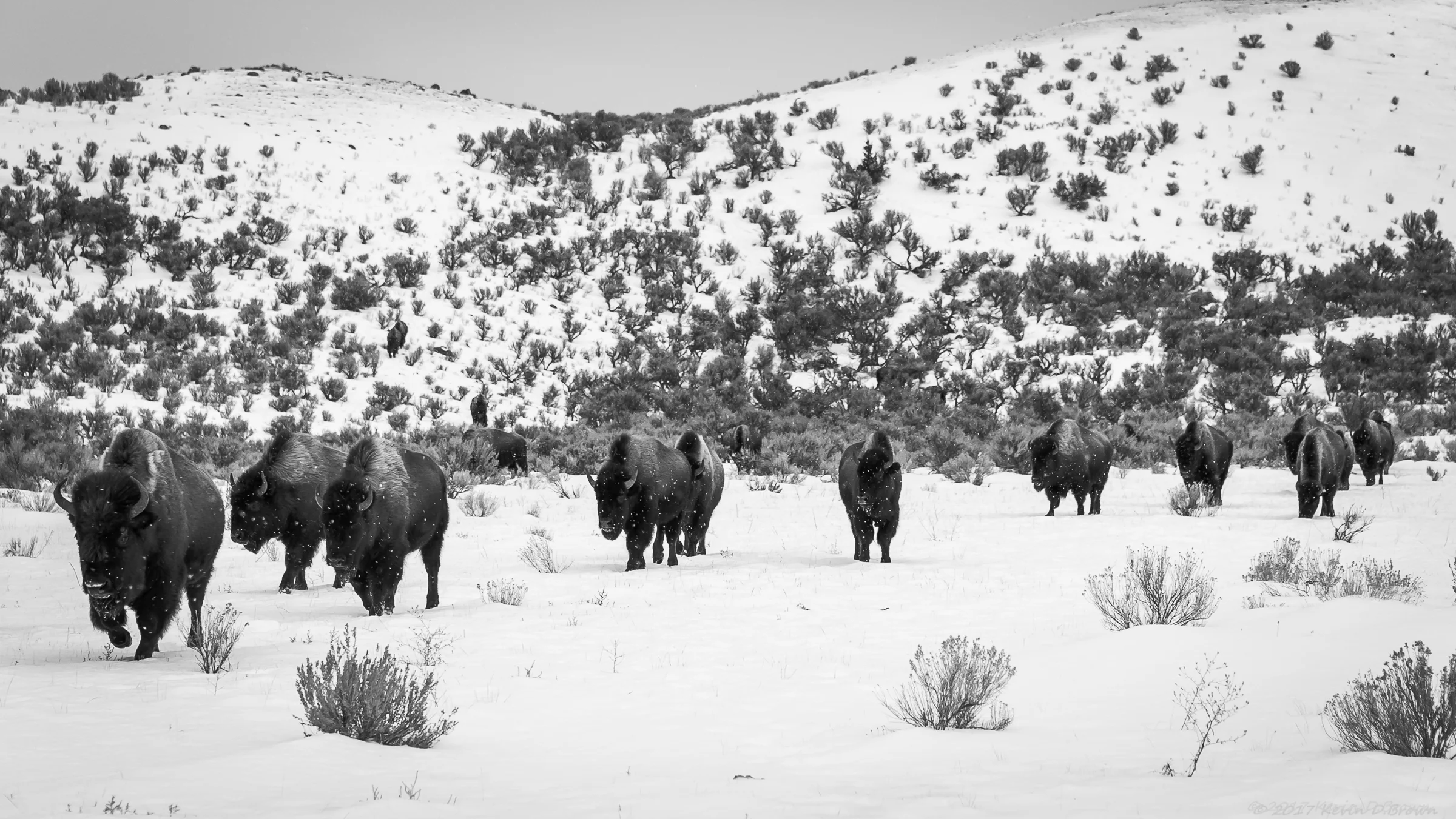 Yellowstone National Park