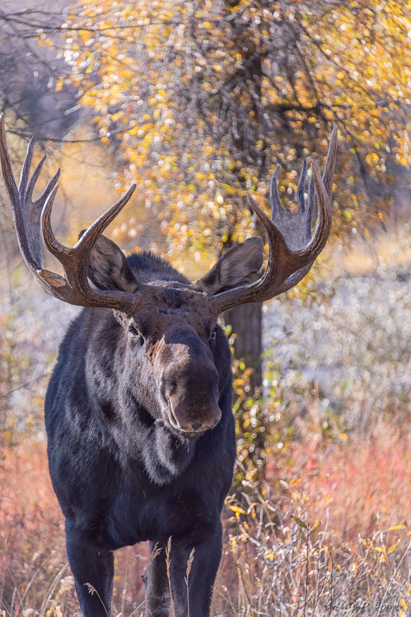 Grand Teton National Park