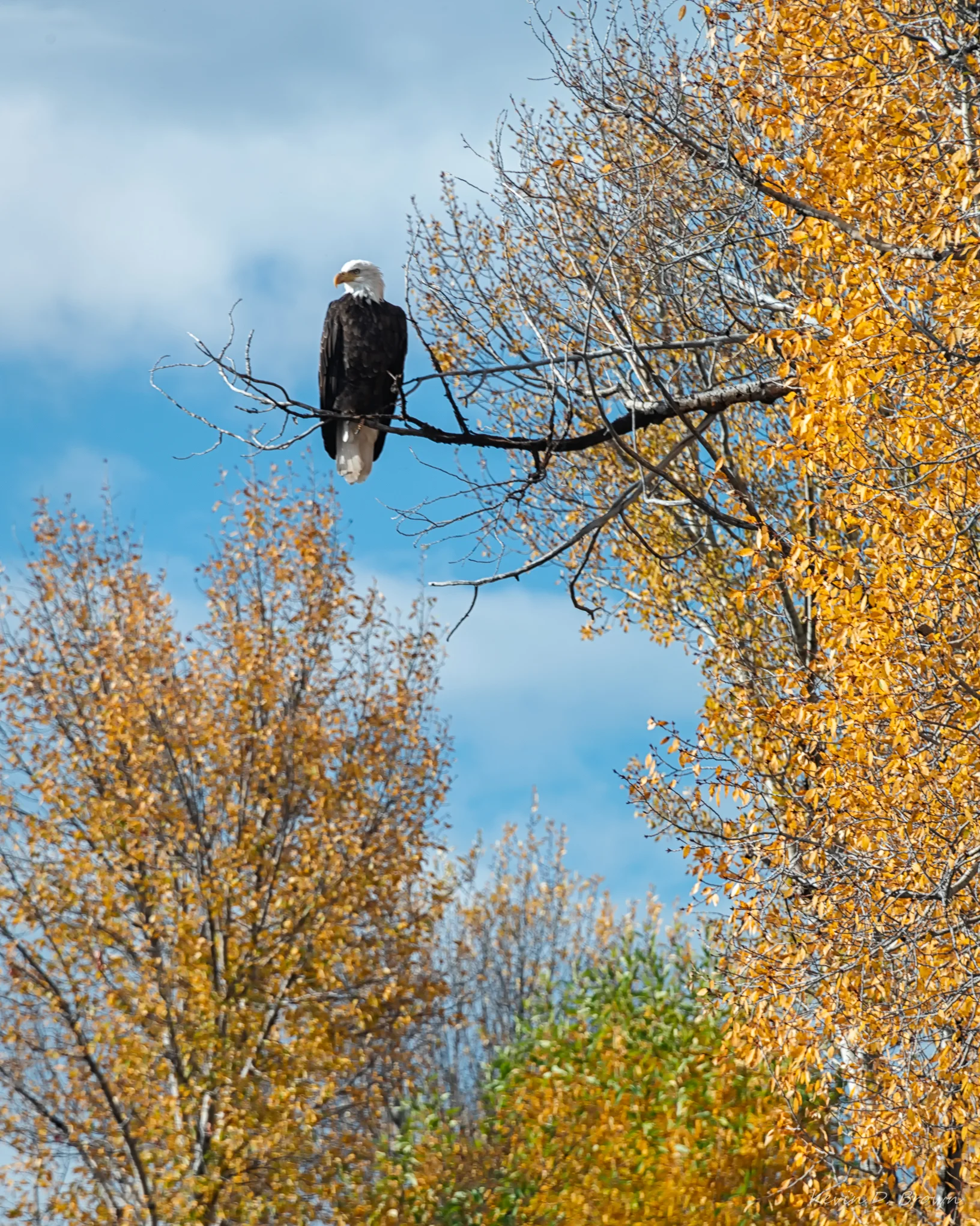 Grand Teton National Park