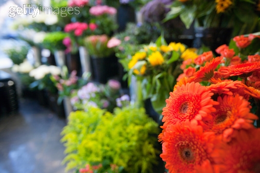 Photo by moodboard/moodboard / Getty Images