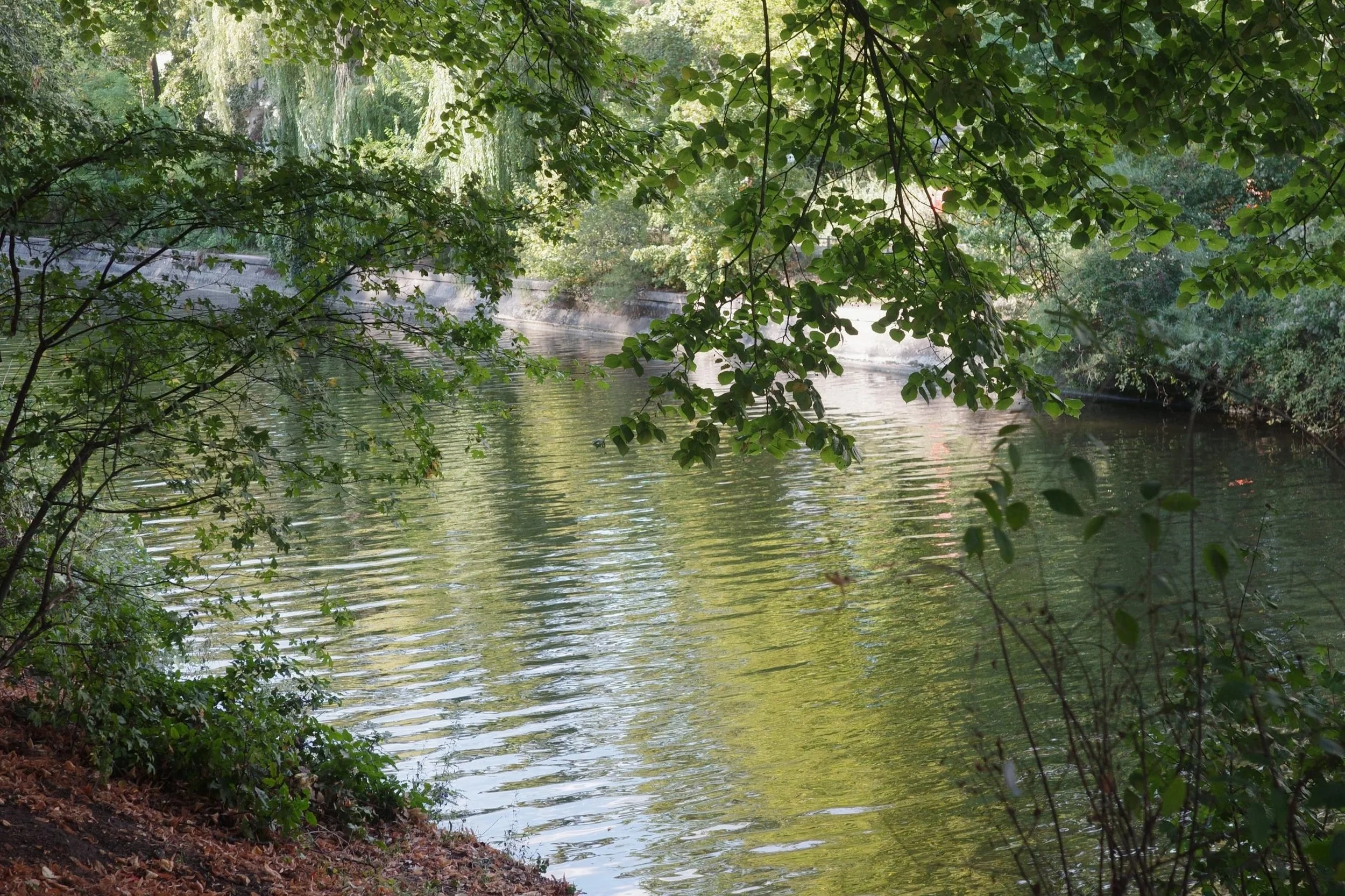 The Landwehr Canal in the morning
