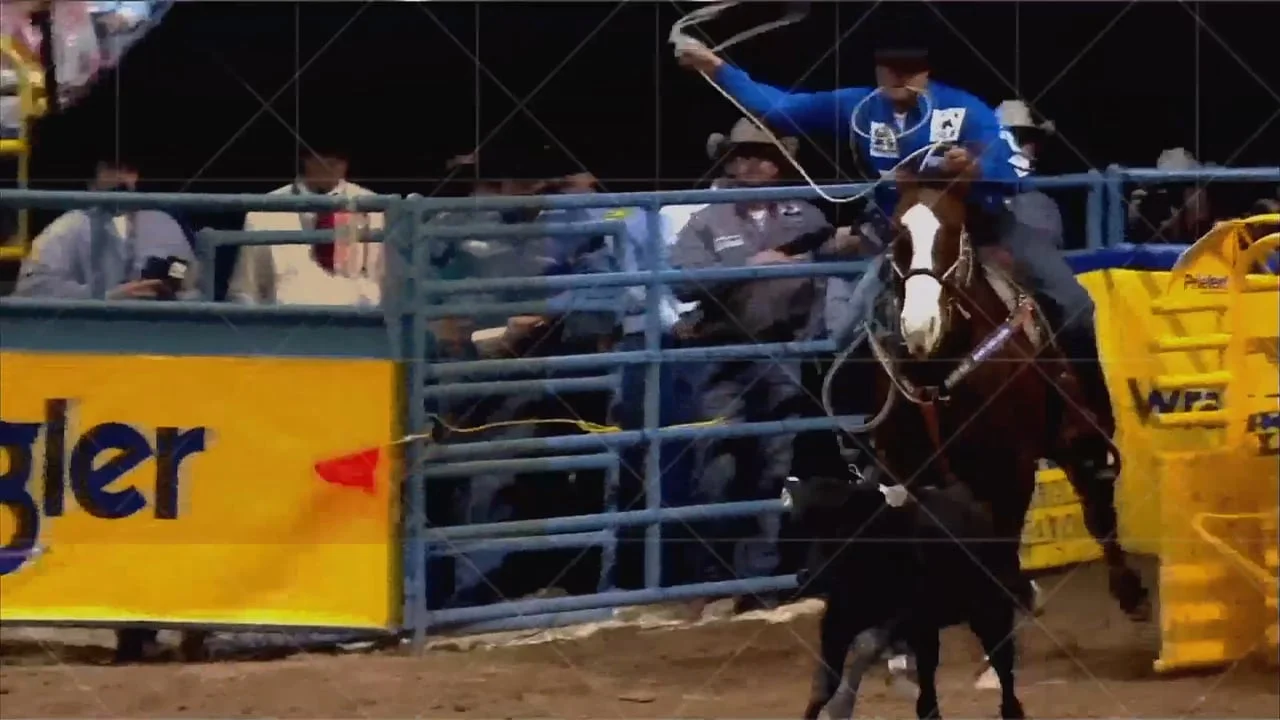 Sports Spectacular 2016 Open (Copy)