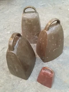 image1.jpg