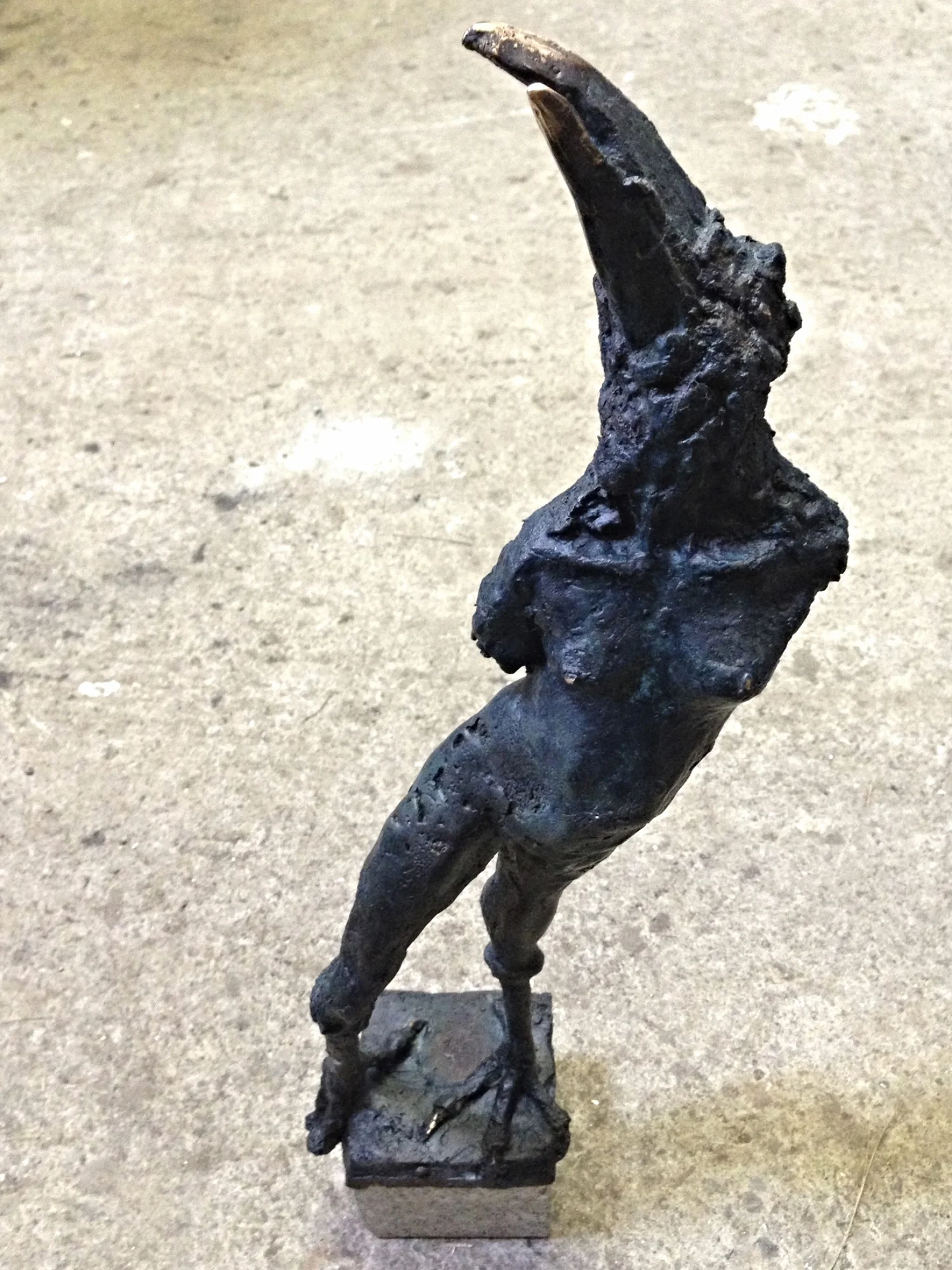Suibhne's Fancy, unique cast bronze, 45cm high x 10cm x 10cm, 2014 (sold)