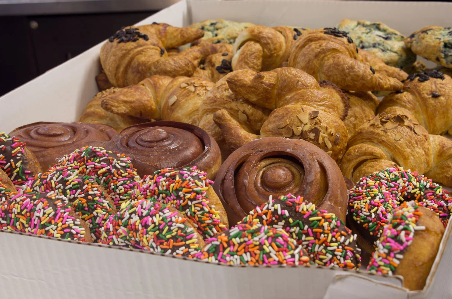 Baked in Telluride-27.jpg