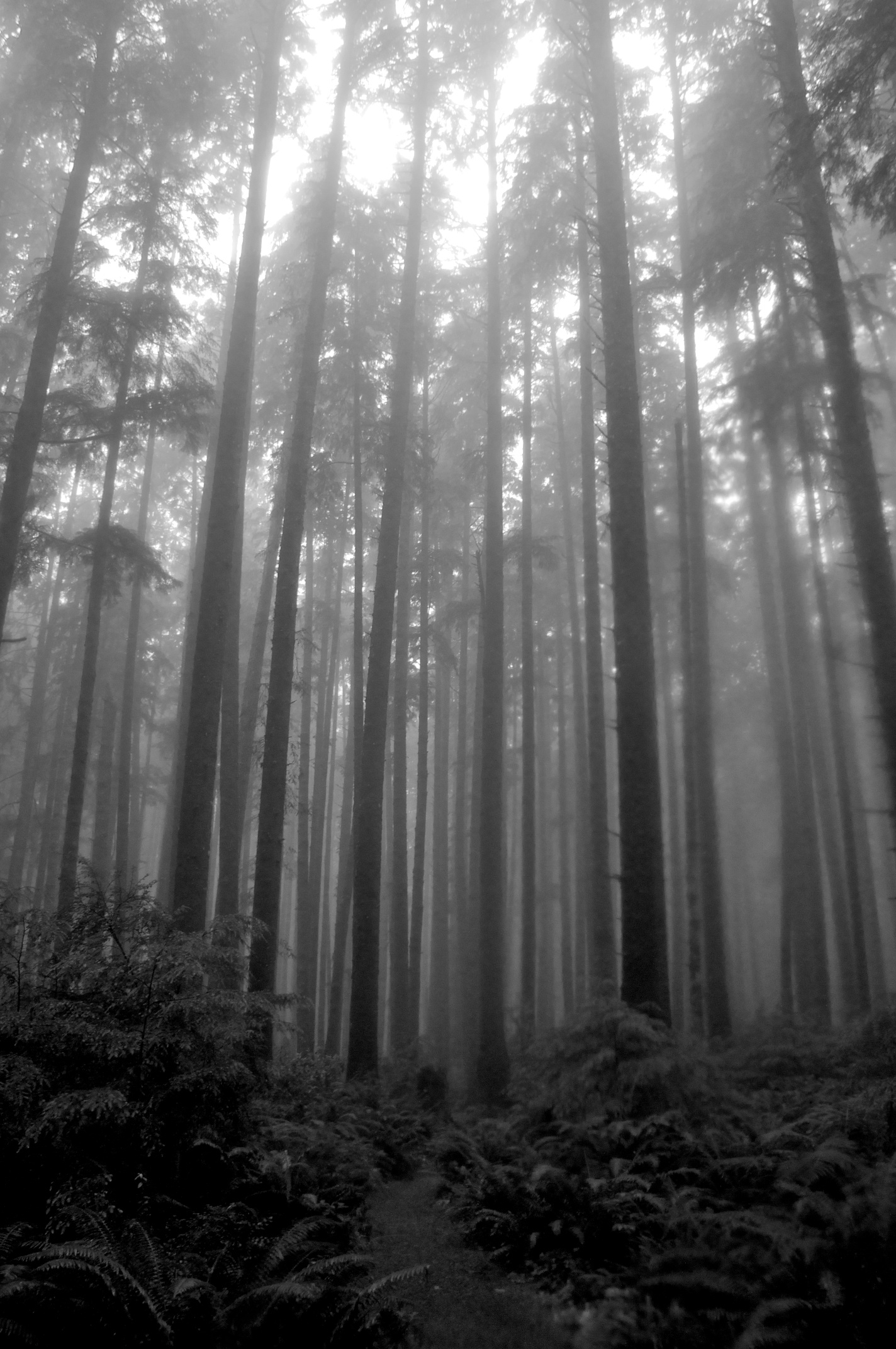 300_4656 - Version 2.jpg