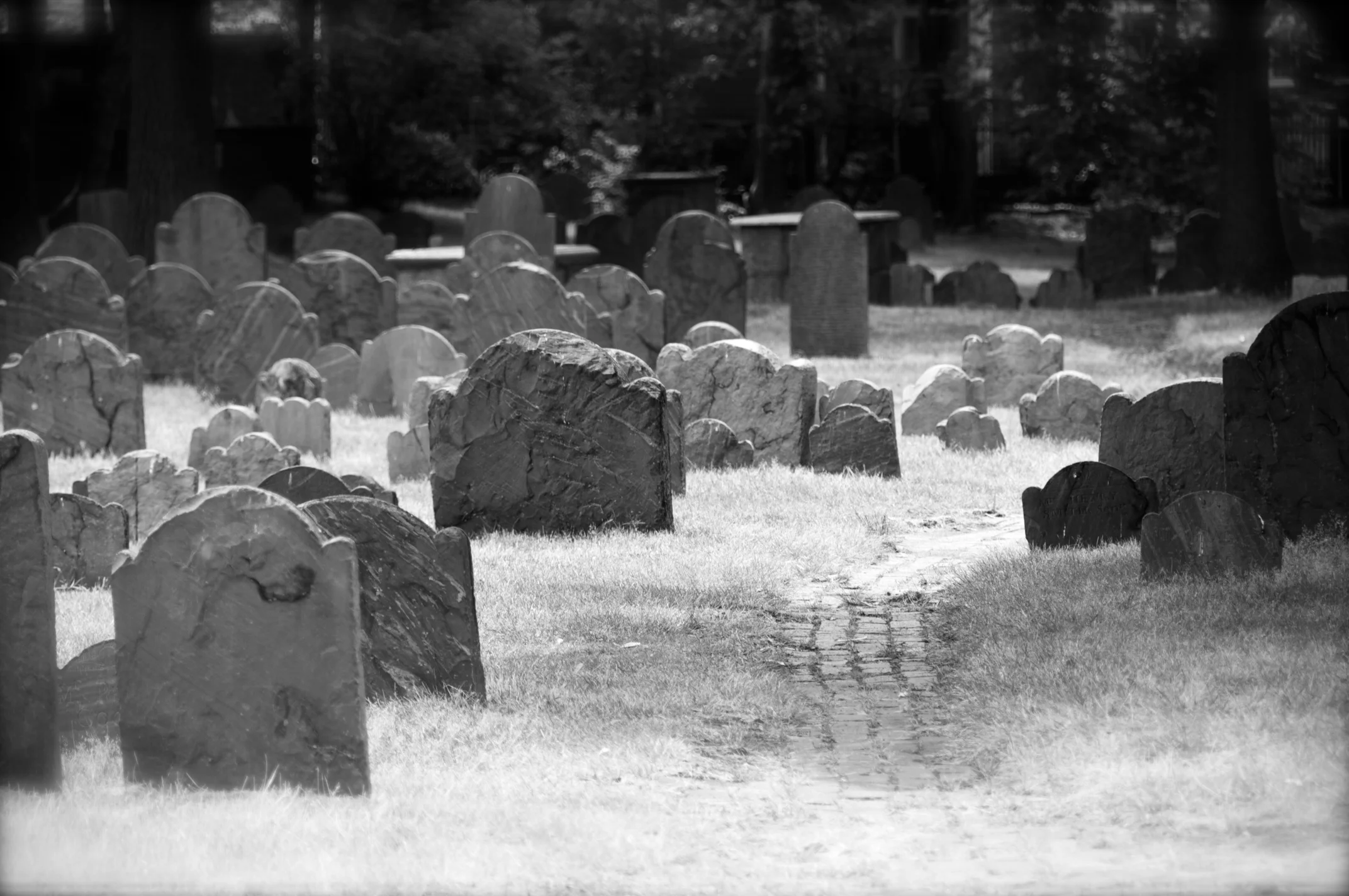 300_7247 - Version 2.jpg