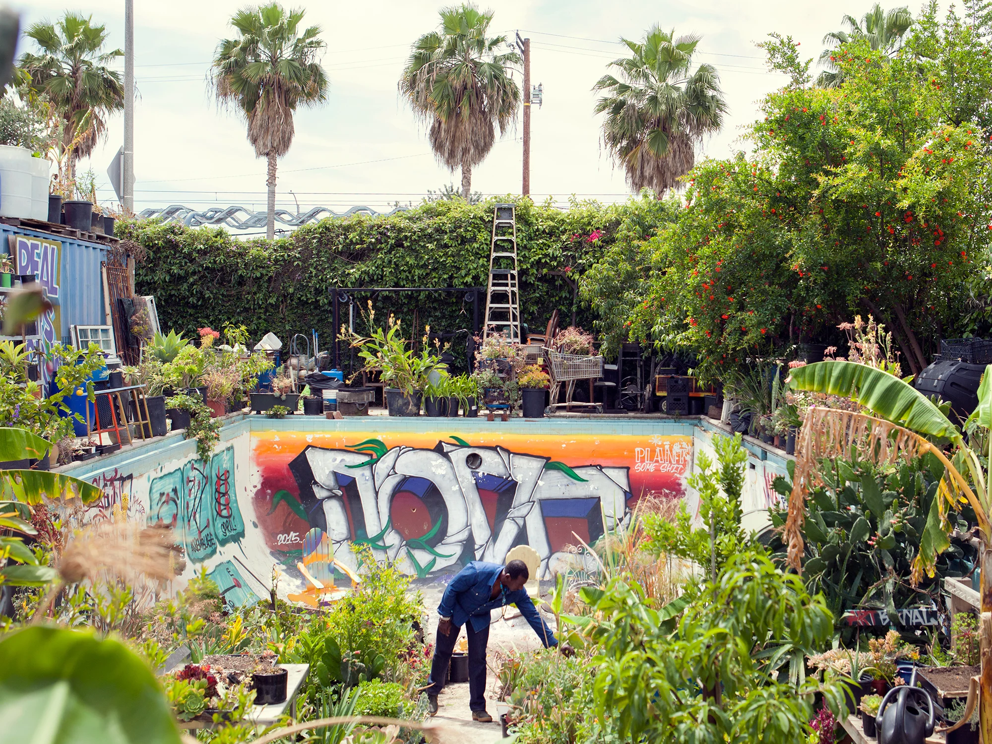 Ron Finley, Gangster Gardener Rhapsody