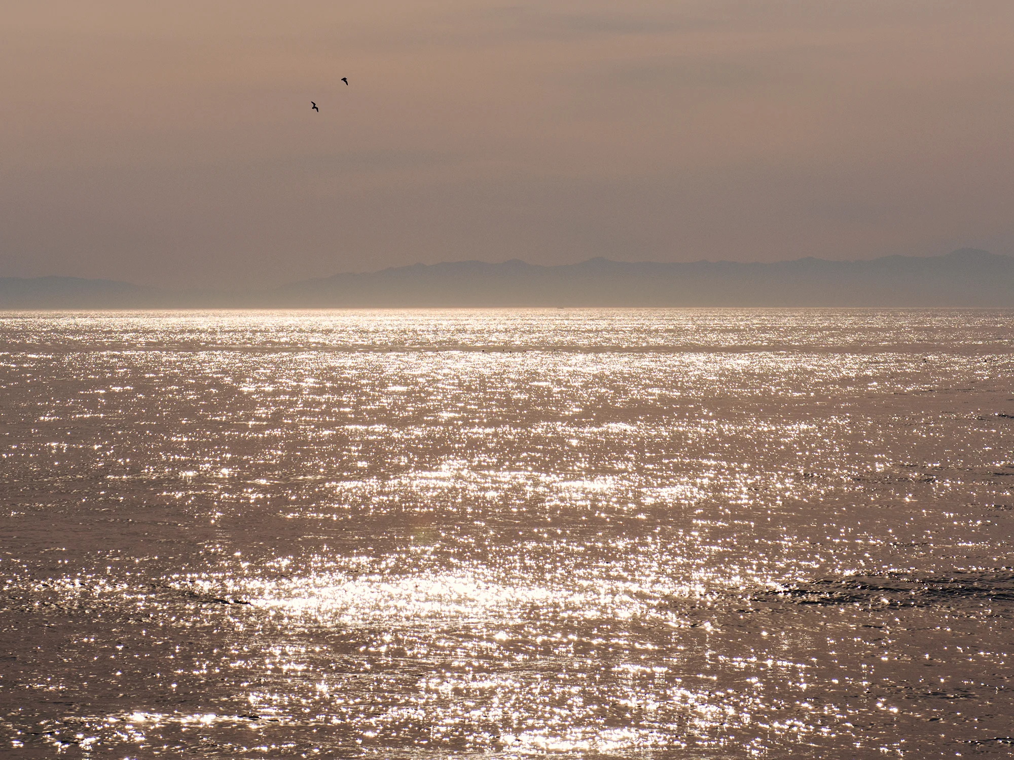 JessicaChou__DSC0362-2web.jpg