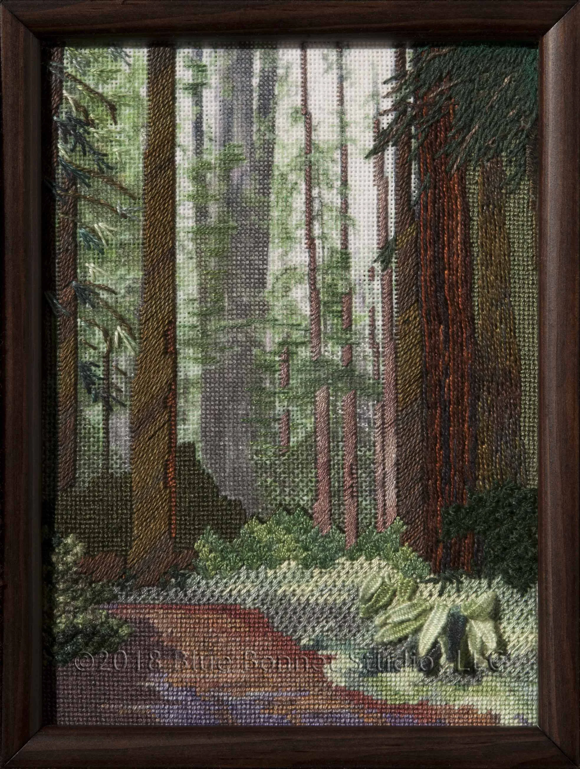 2019-203 Avenue of the Giants