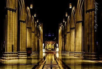 The Tune of the Antients