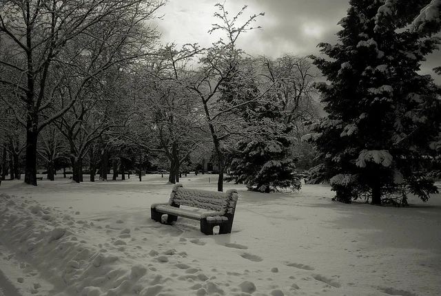 Footprints in the Snow