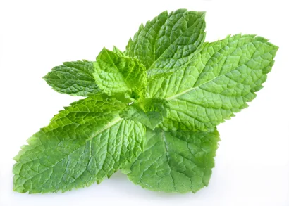 Peppermint Tea