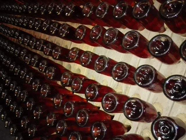 wine tours portugal